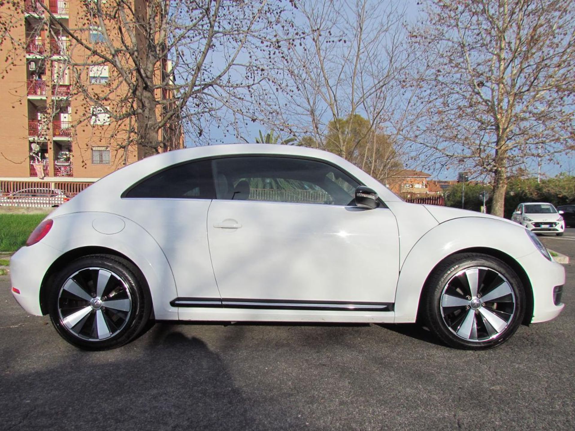 Volkswagen Maggiolino