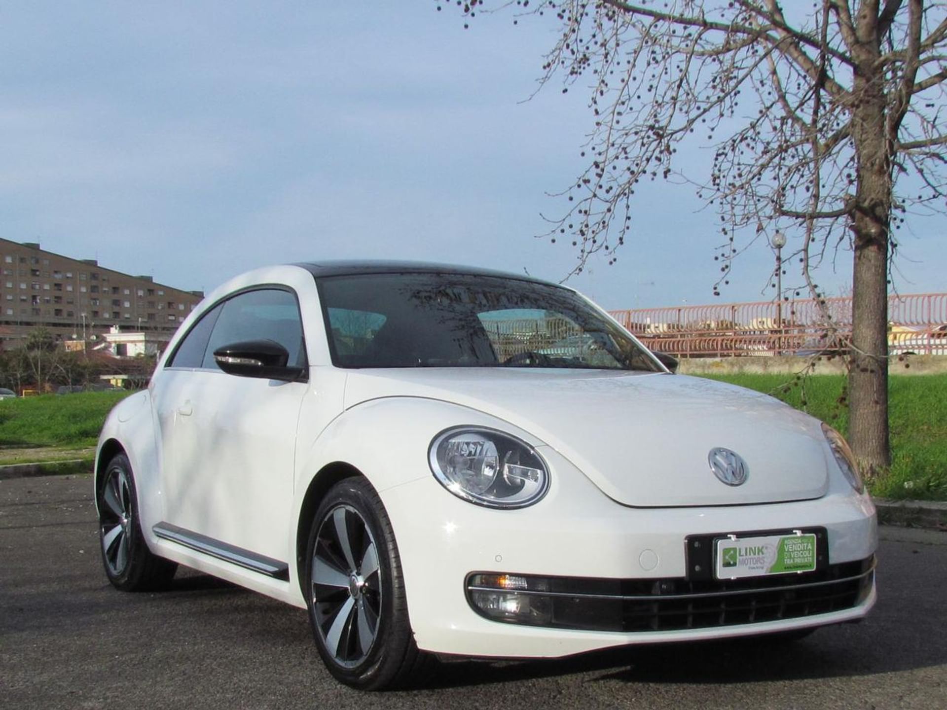 Volkswagen Maggiolino