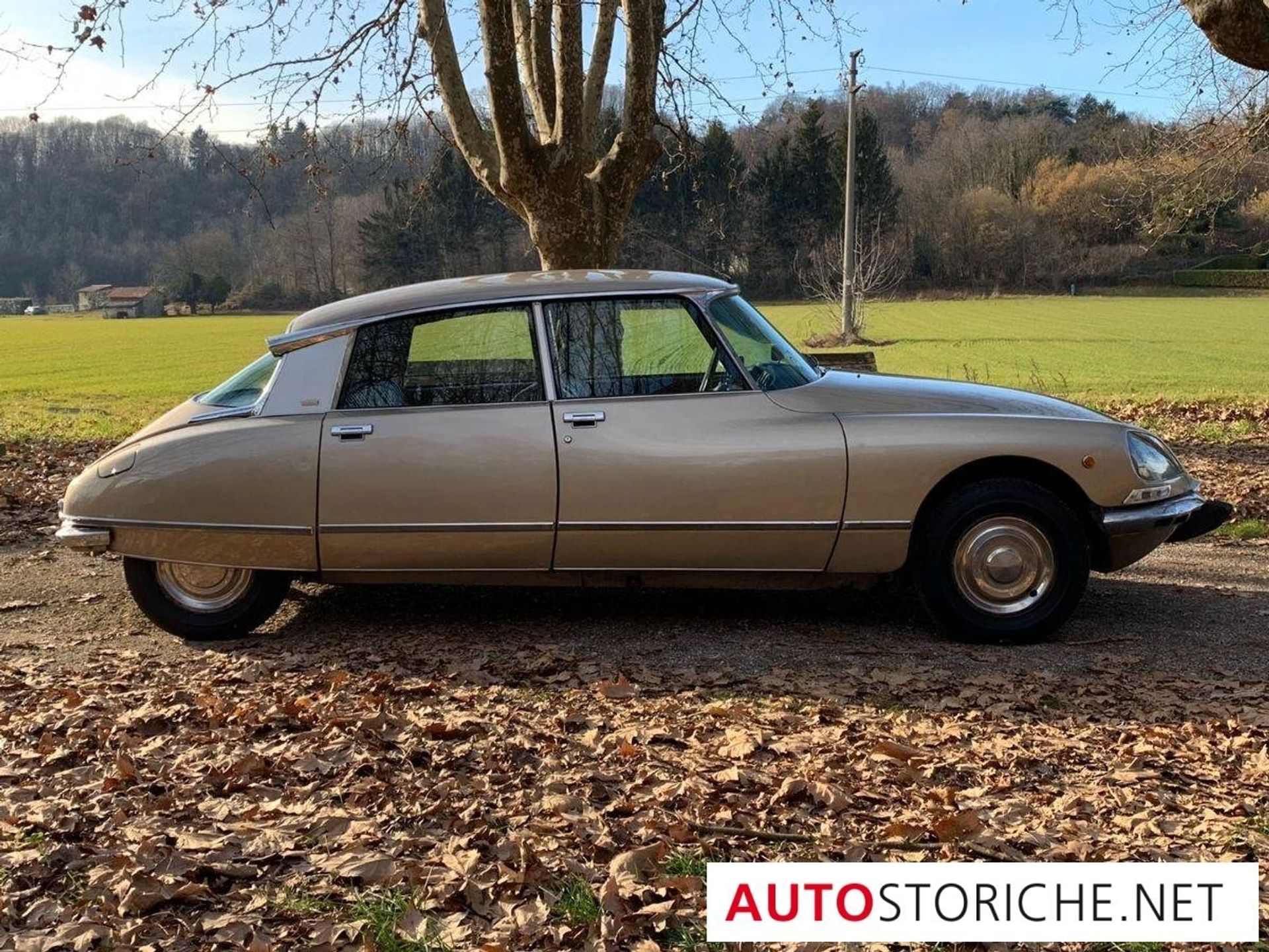 Citroen DS