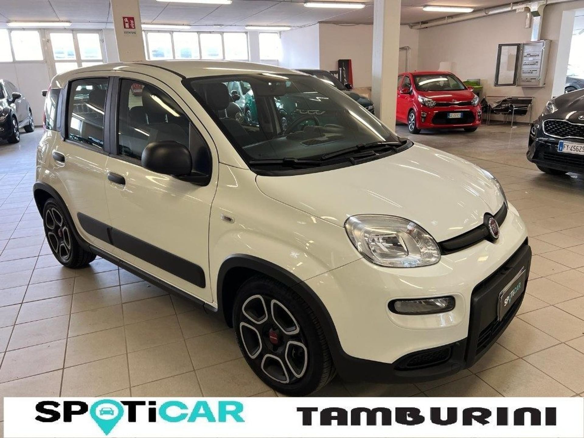 Acquista Fiat Panda usate a Arezzo Autosupermarket