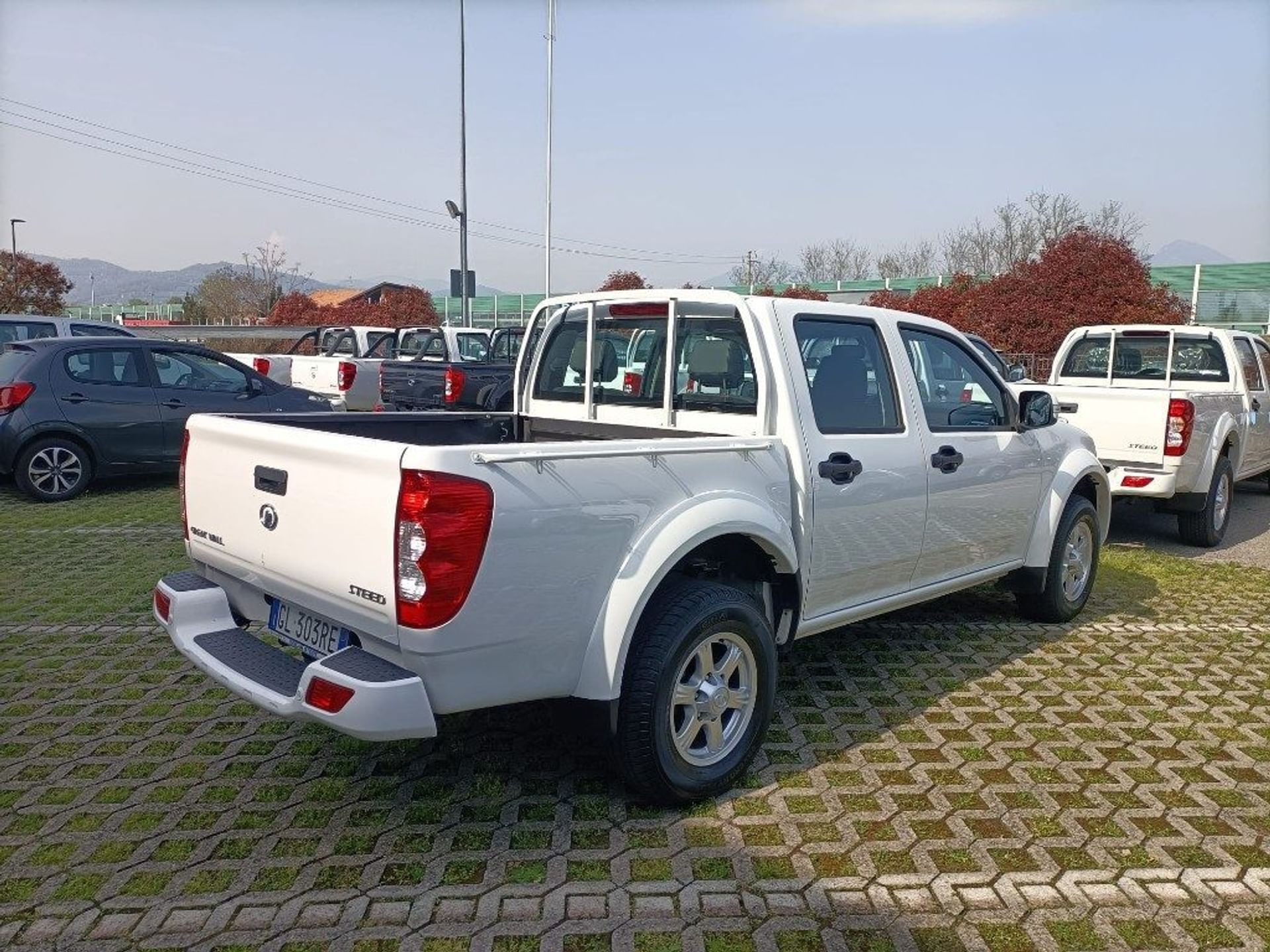 Great Wall Steed