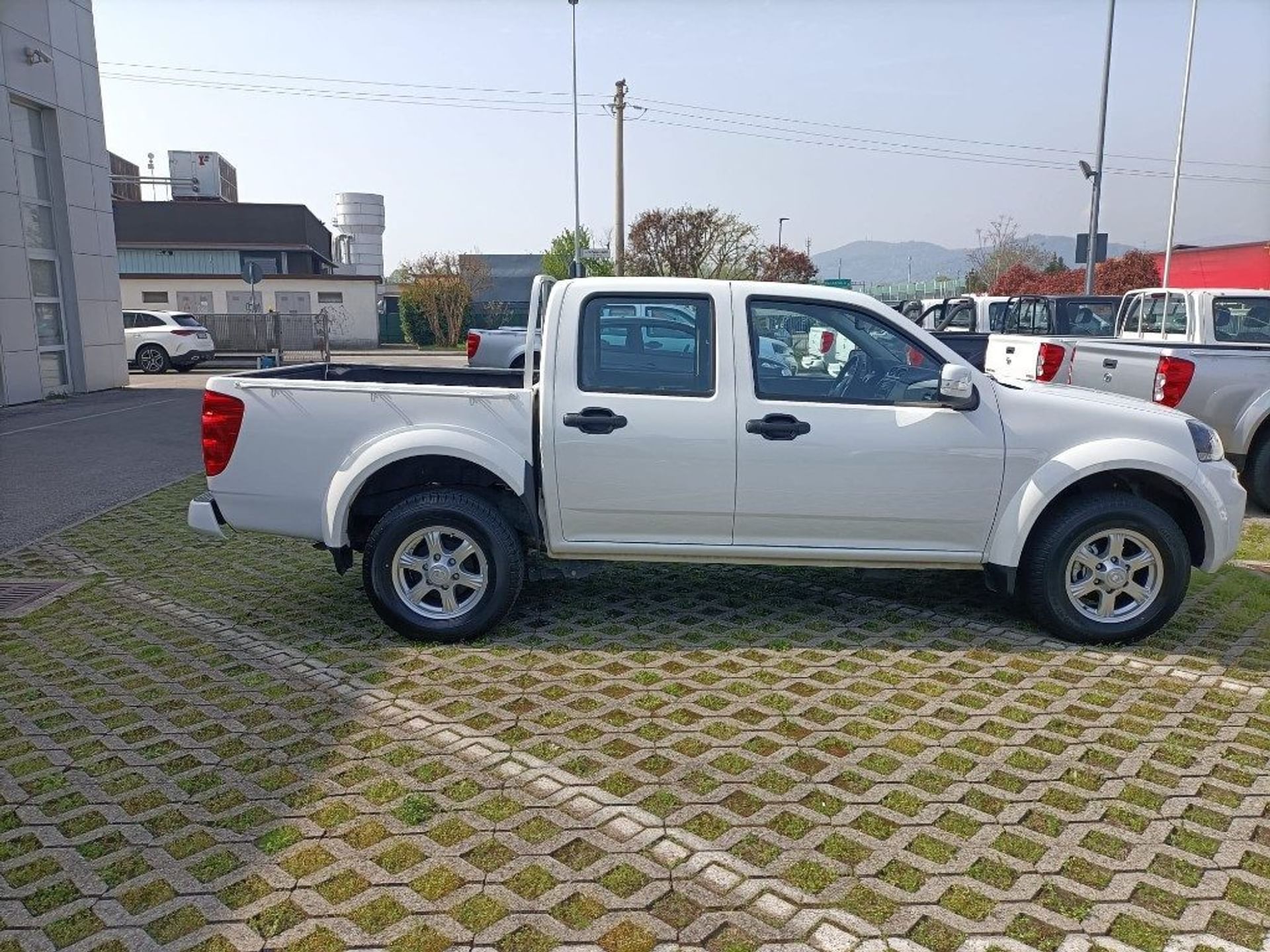 Great Wall Steed