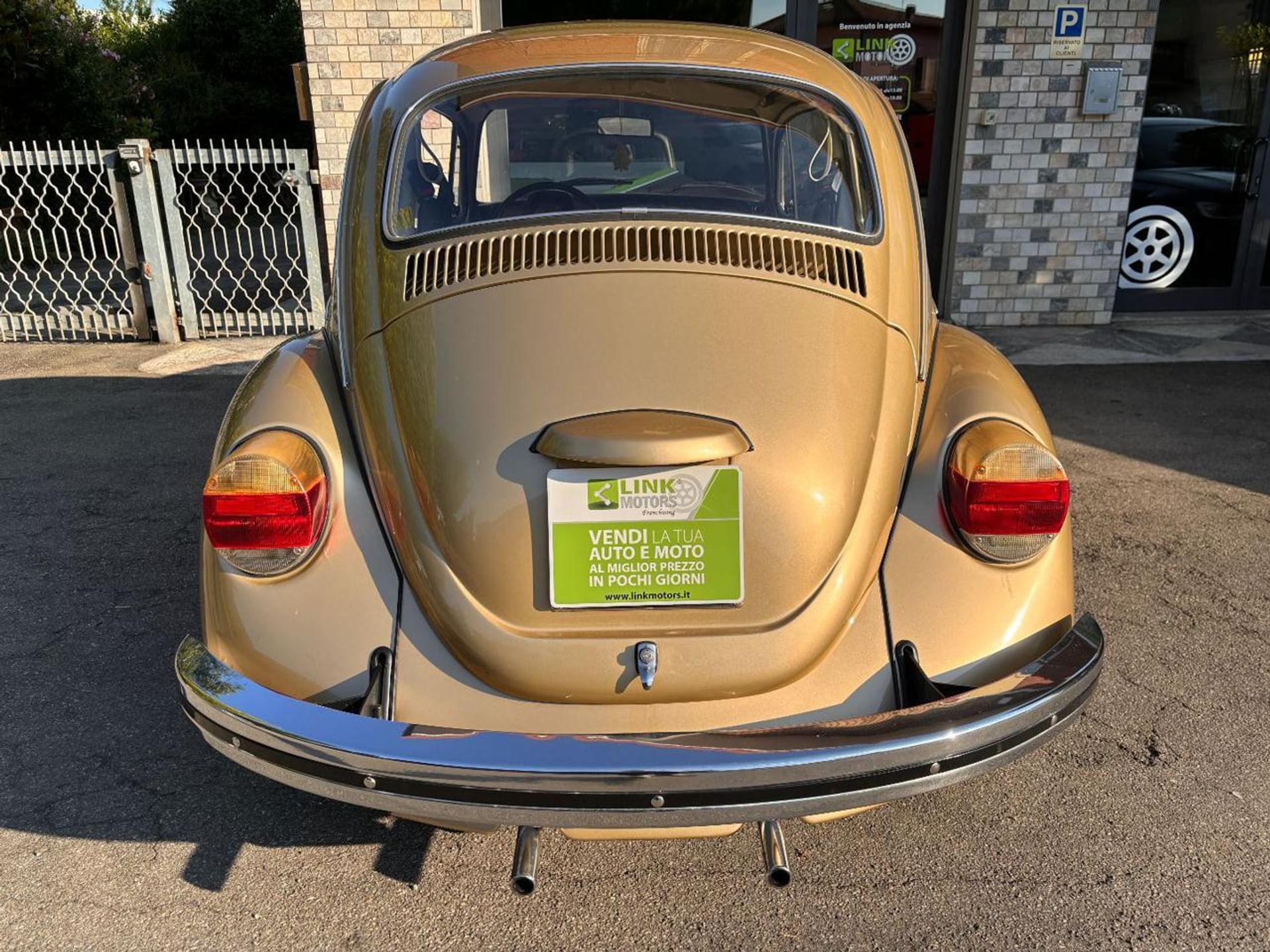 Volkswagen Maggiolino