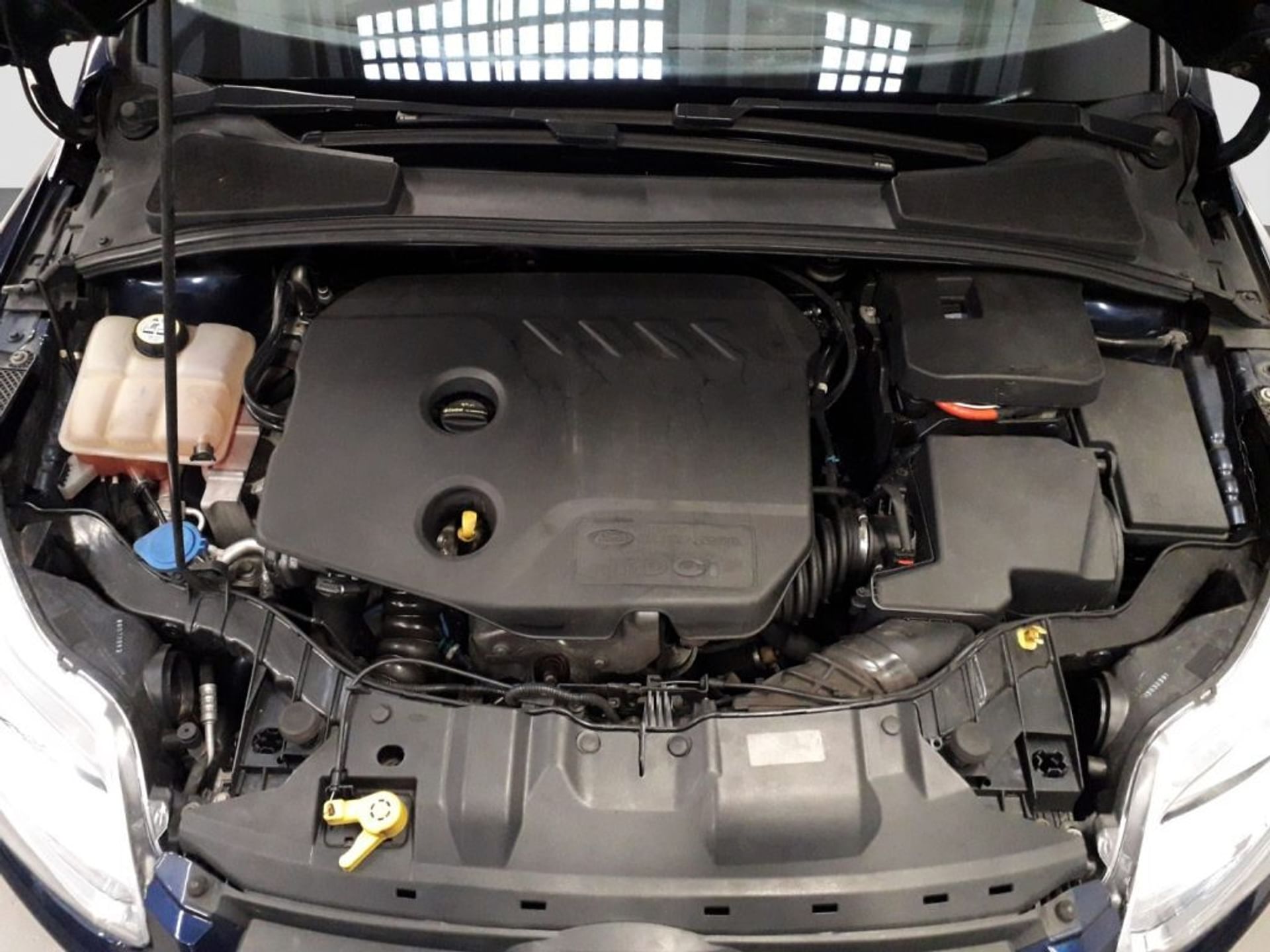 Ford Focus Business