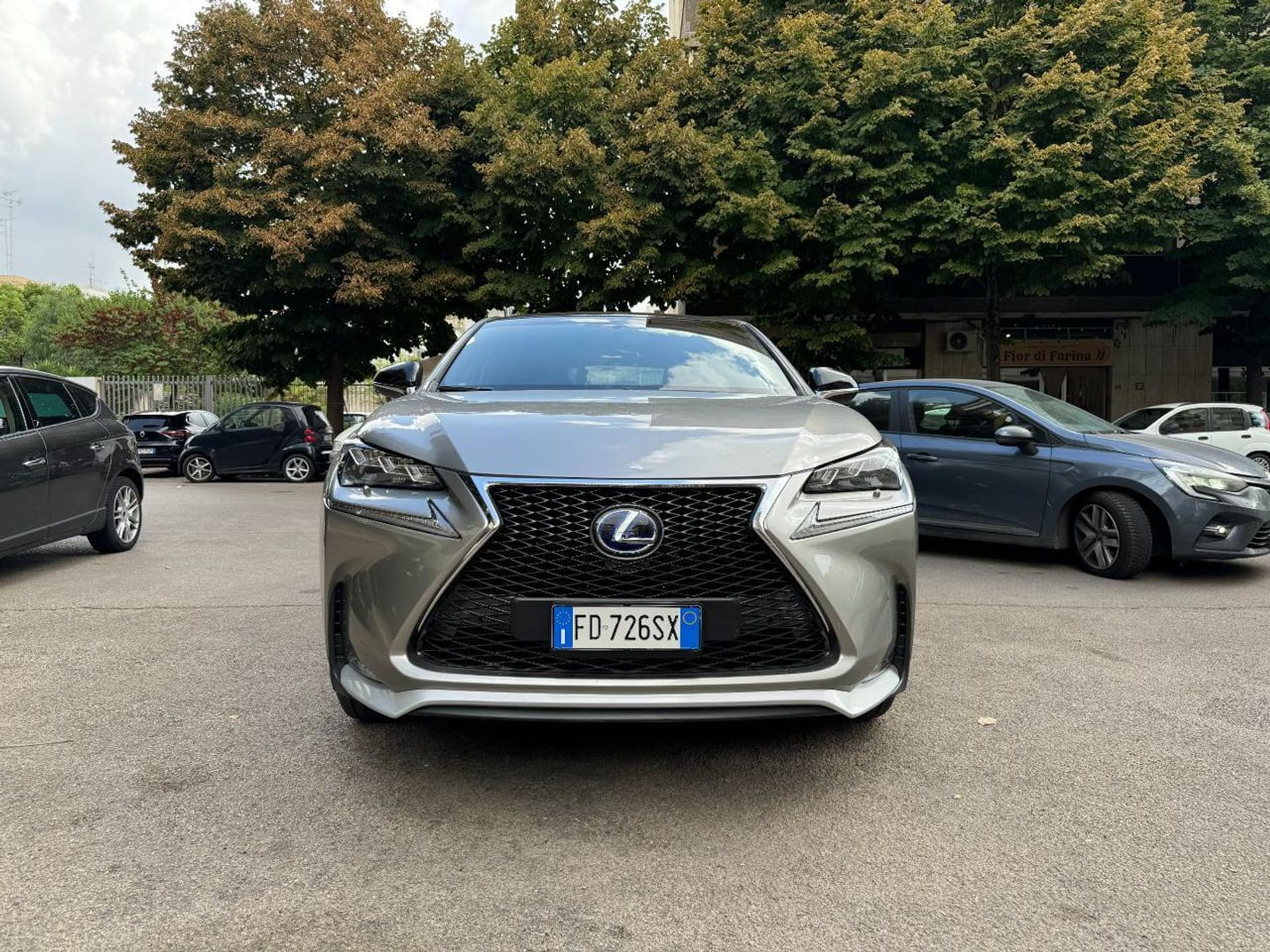 Lexus NX