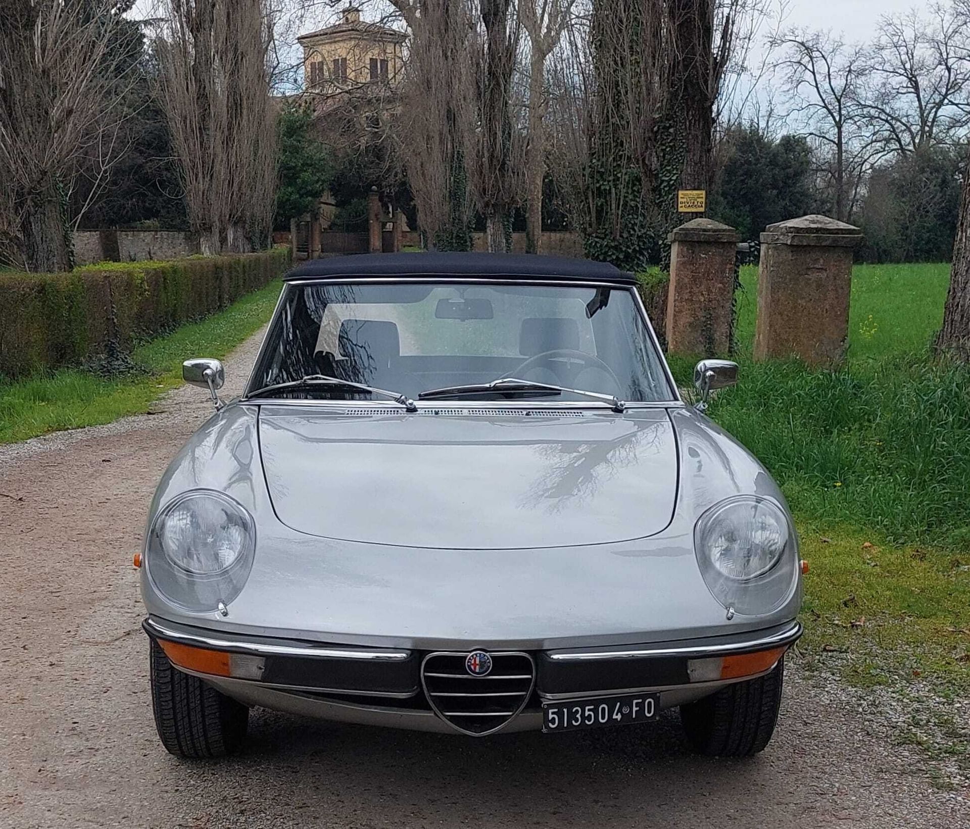 Alfa Romeo Spider