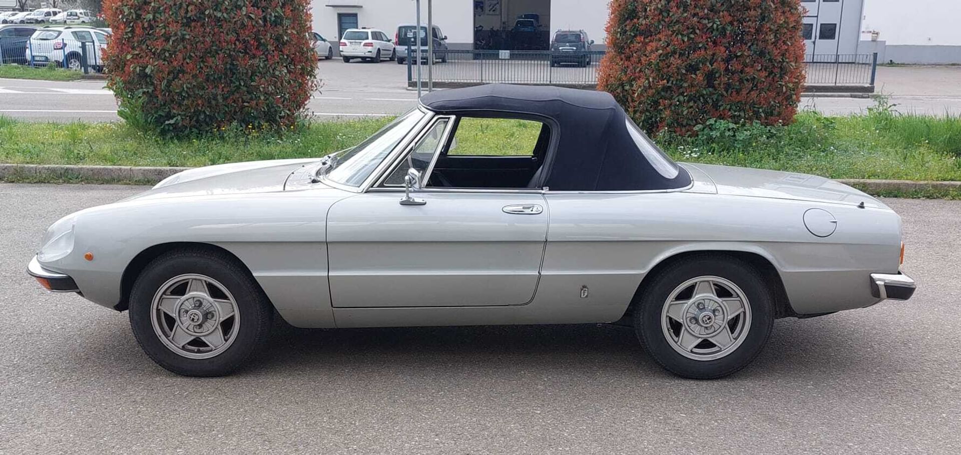 Alfa Romeo Spider