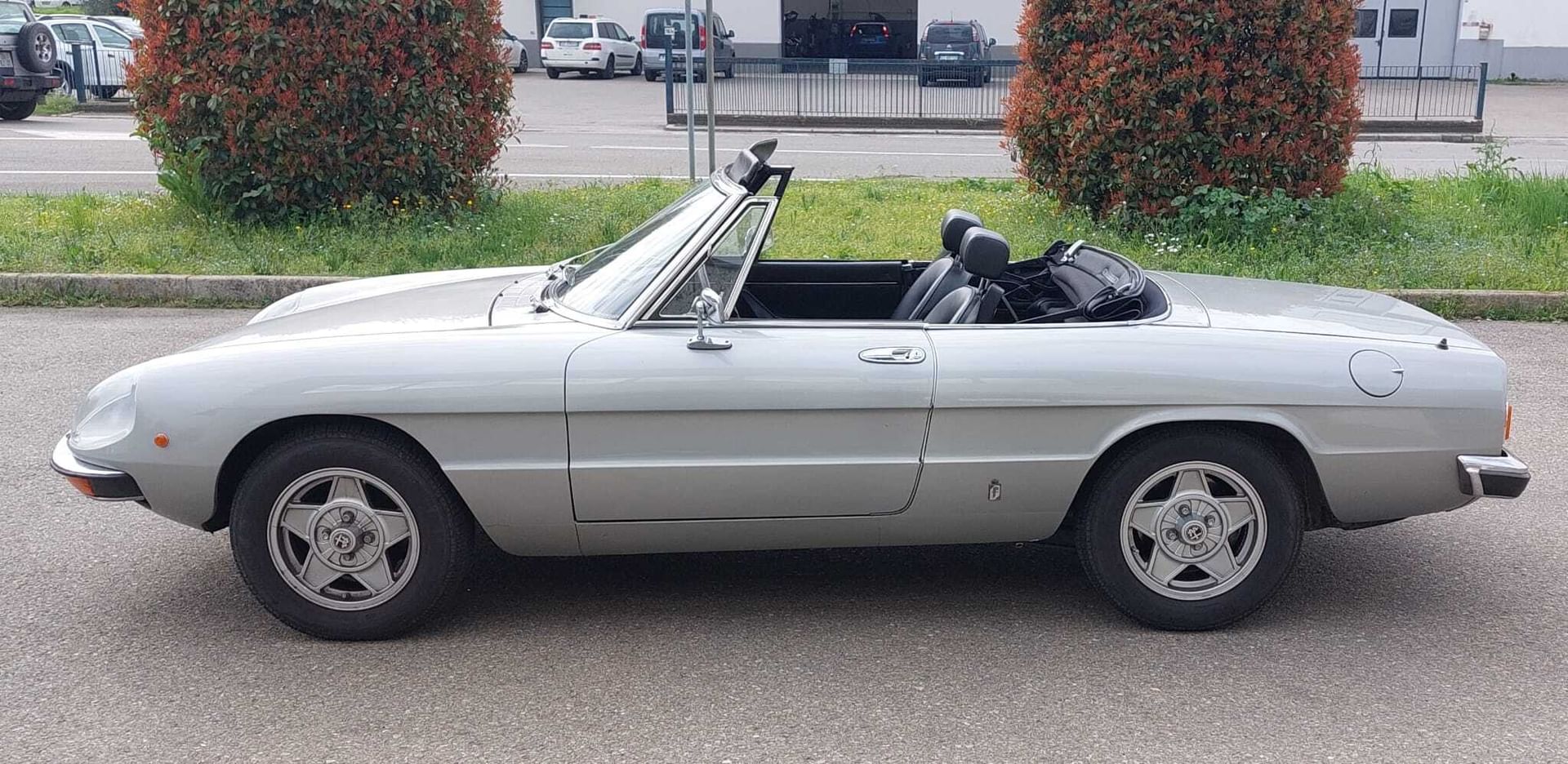 Alfa Romeo Spider