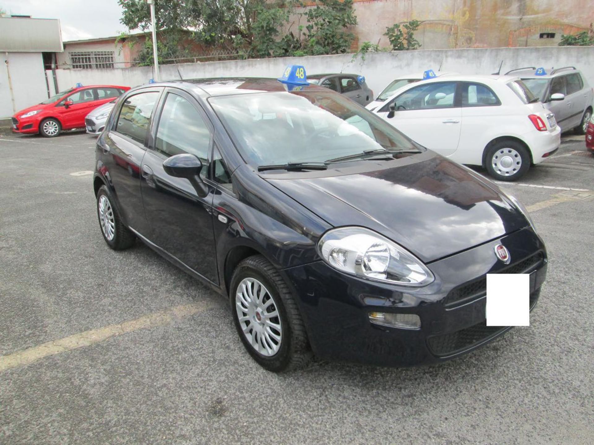 Fiat Punto
