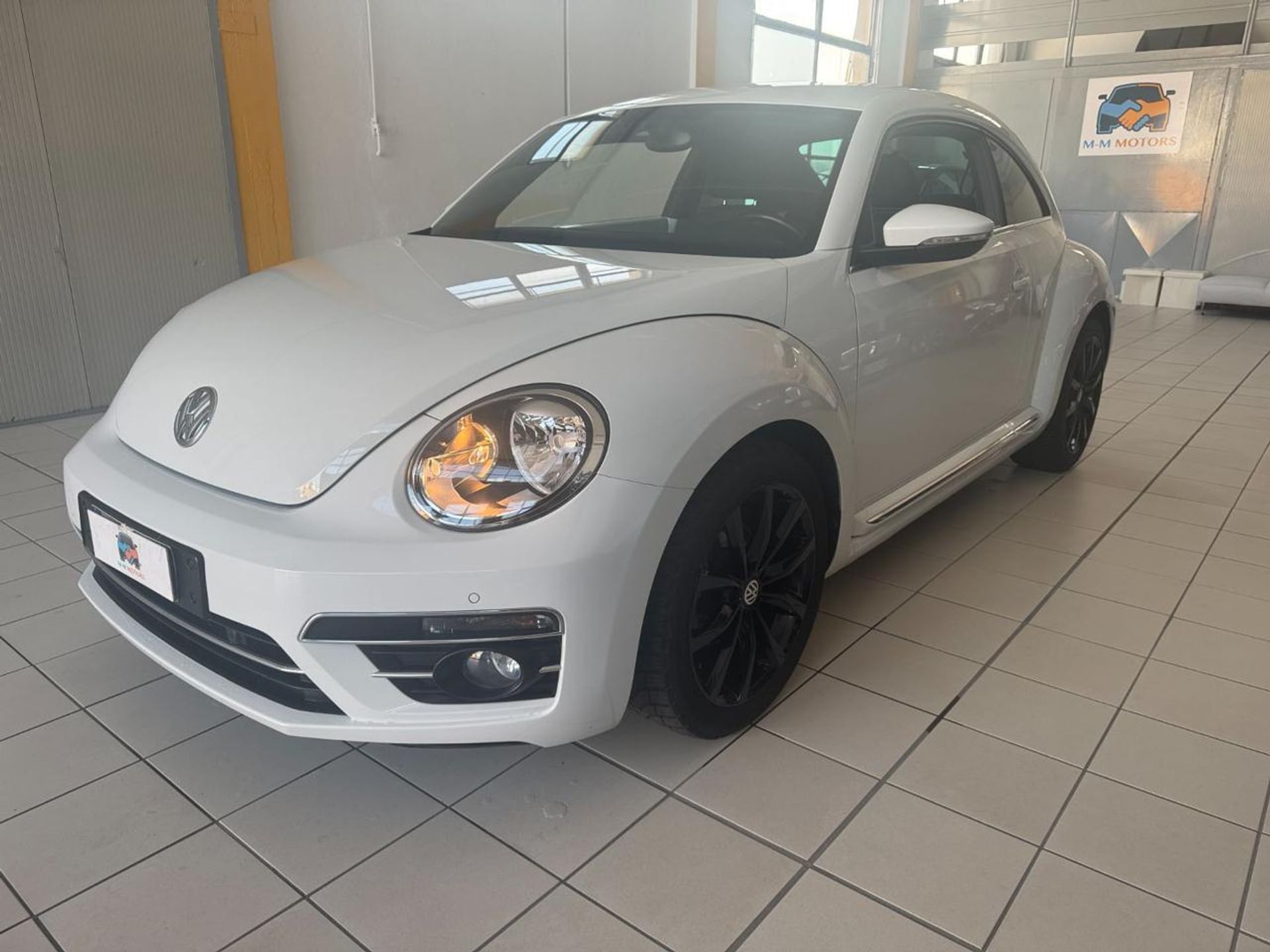 Volkswagen Maggiolino