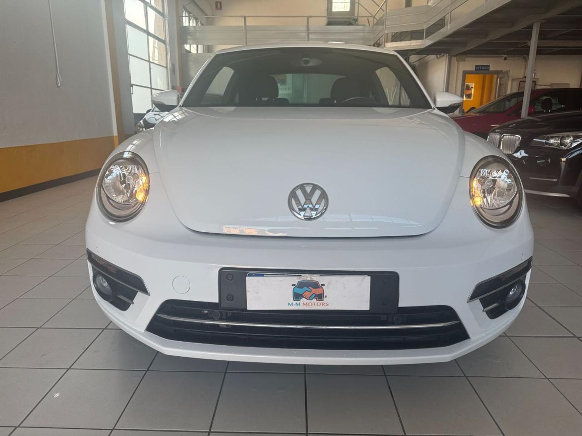 Volkswagen Maggiolino