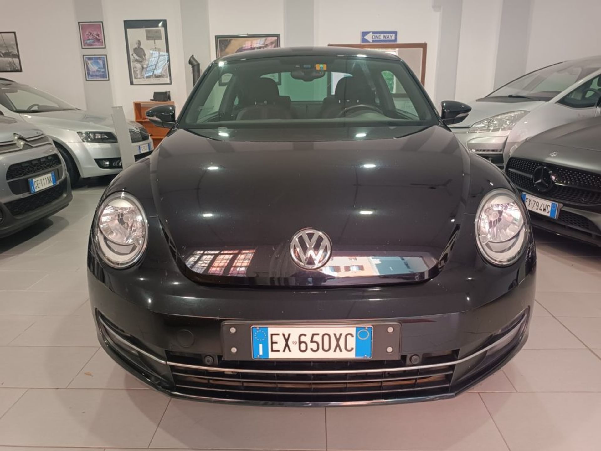Volkswagen Maggiolino