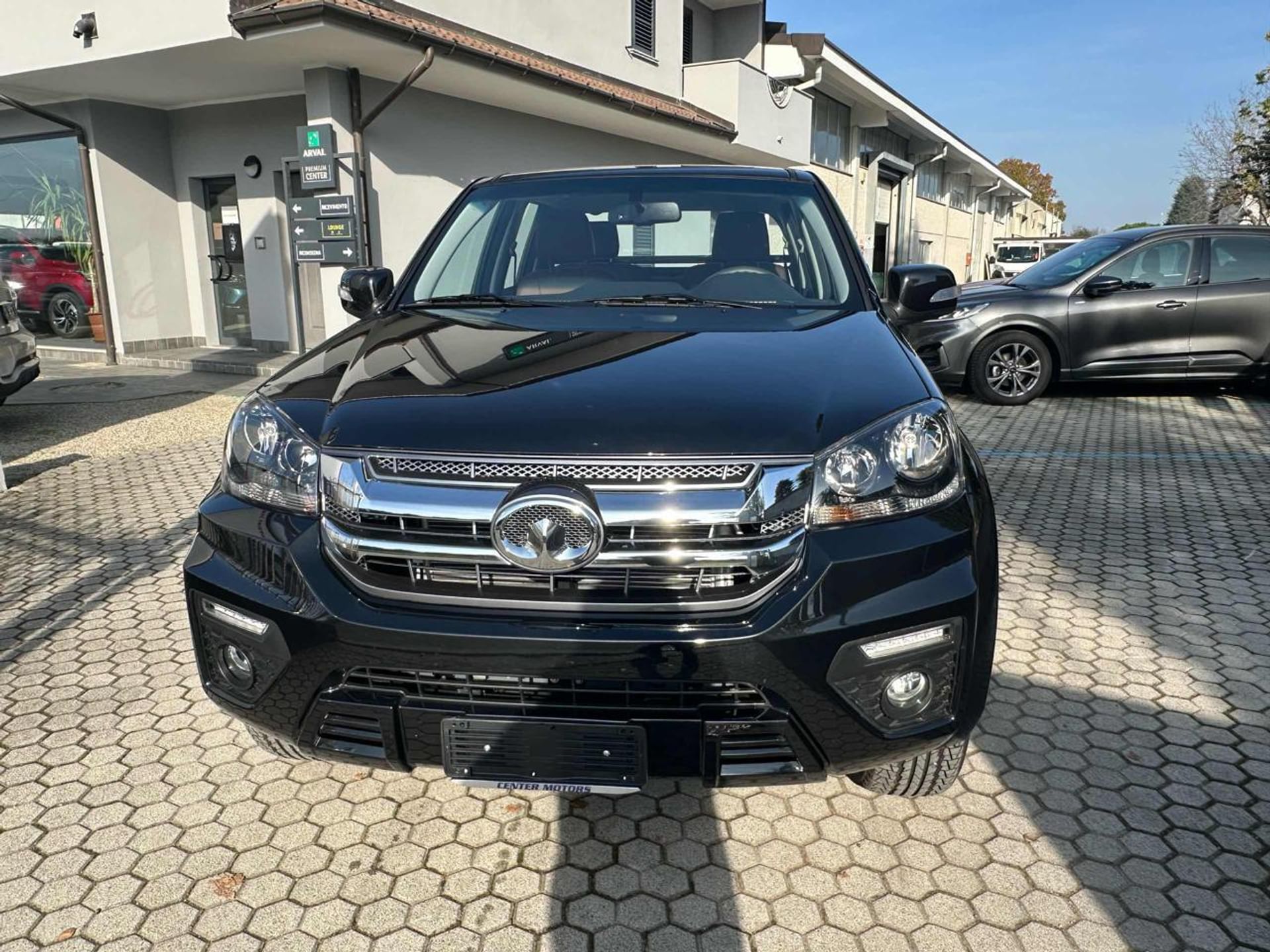 Great Wall Steed