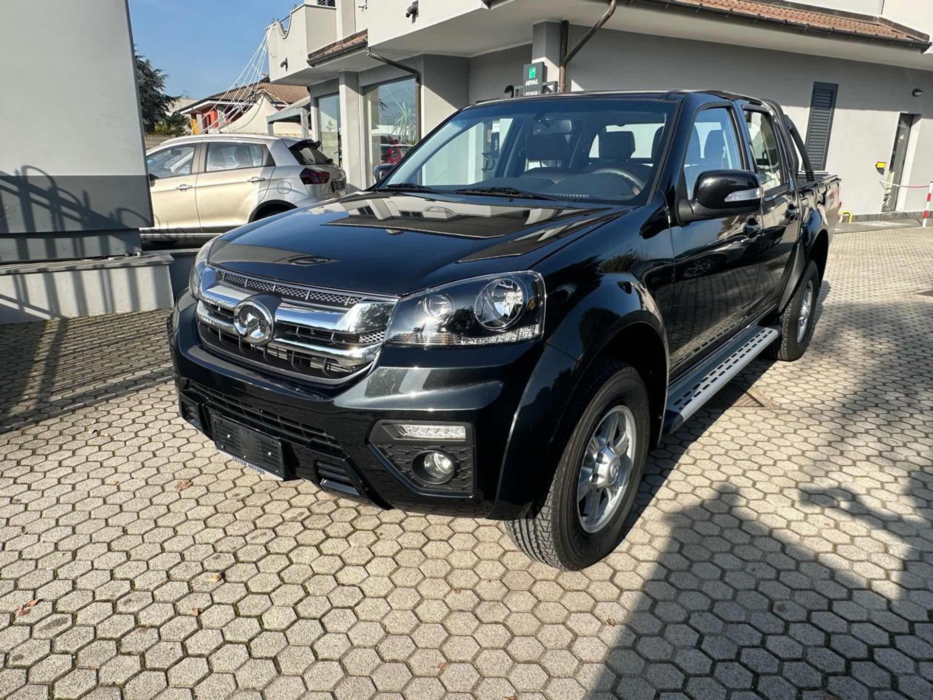 Great Wall Steed