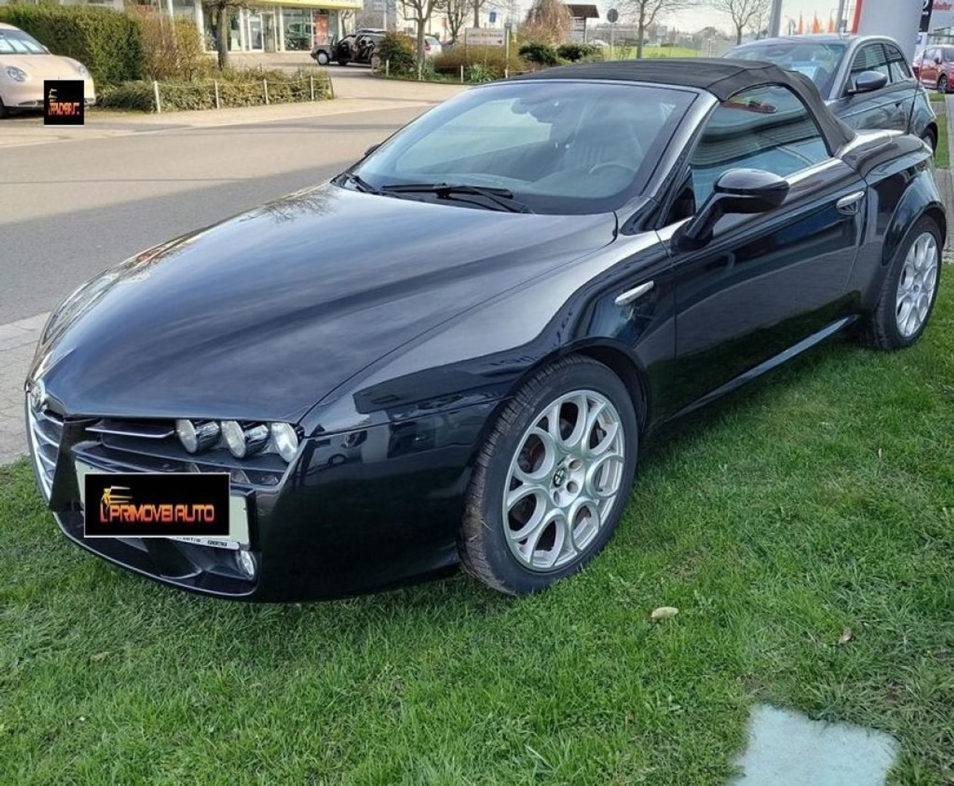 Alfa Romeo Spider