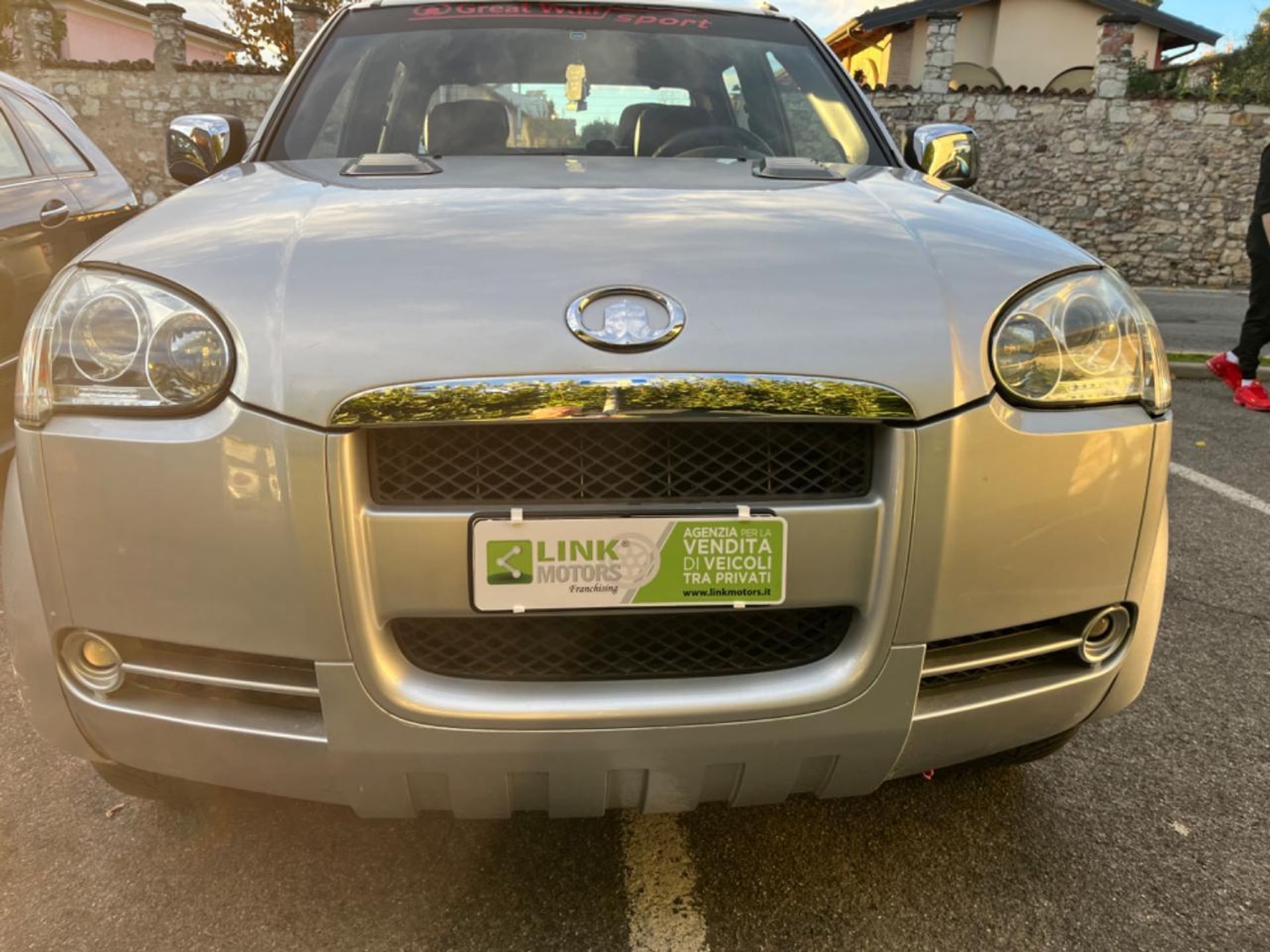 Great Wall Steed