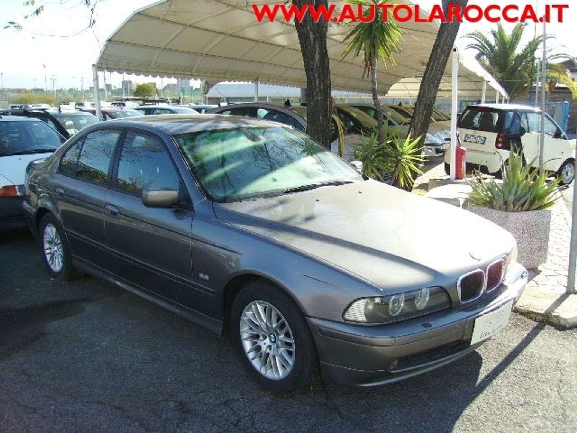 BMW Serie 5 530d