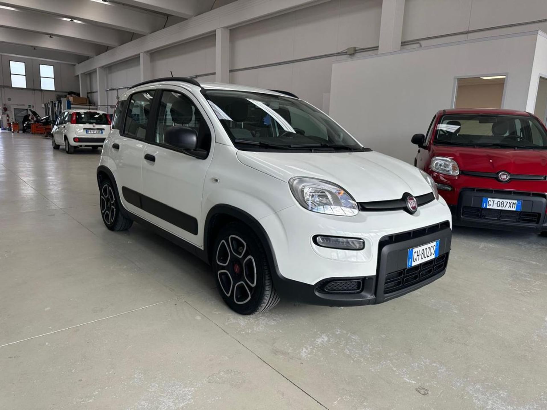 Fiat Panda