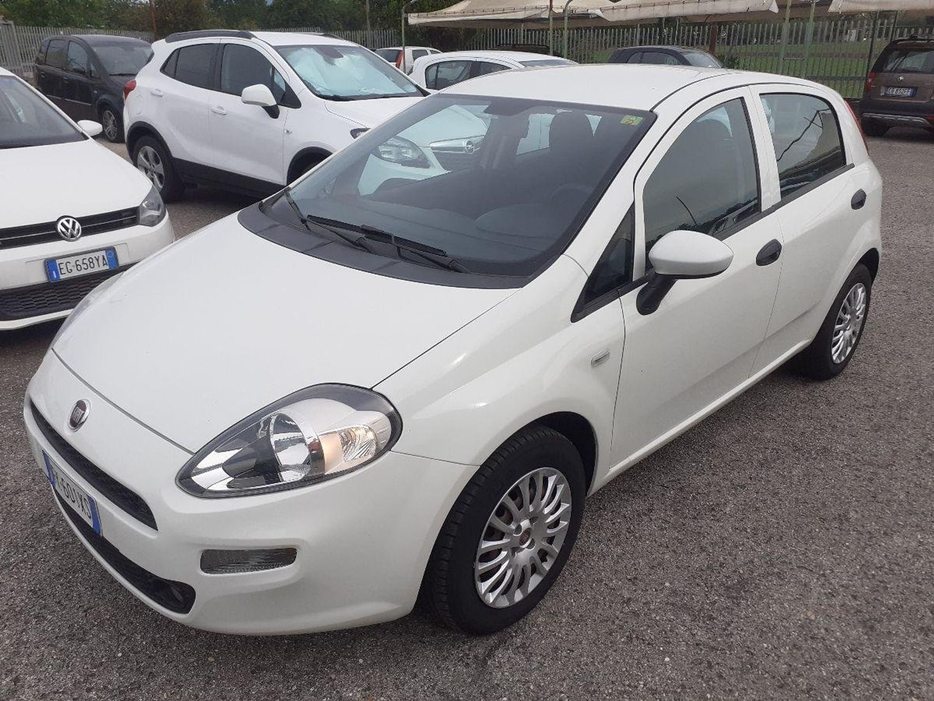 Fiat Punto