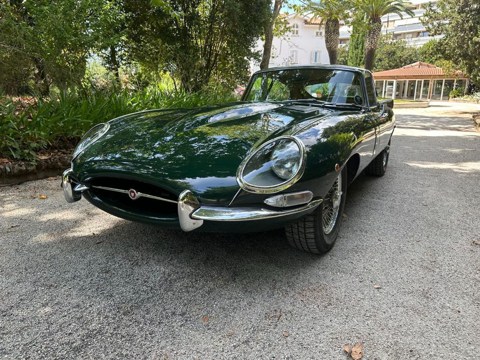 Jaguar E-Type