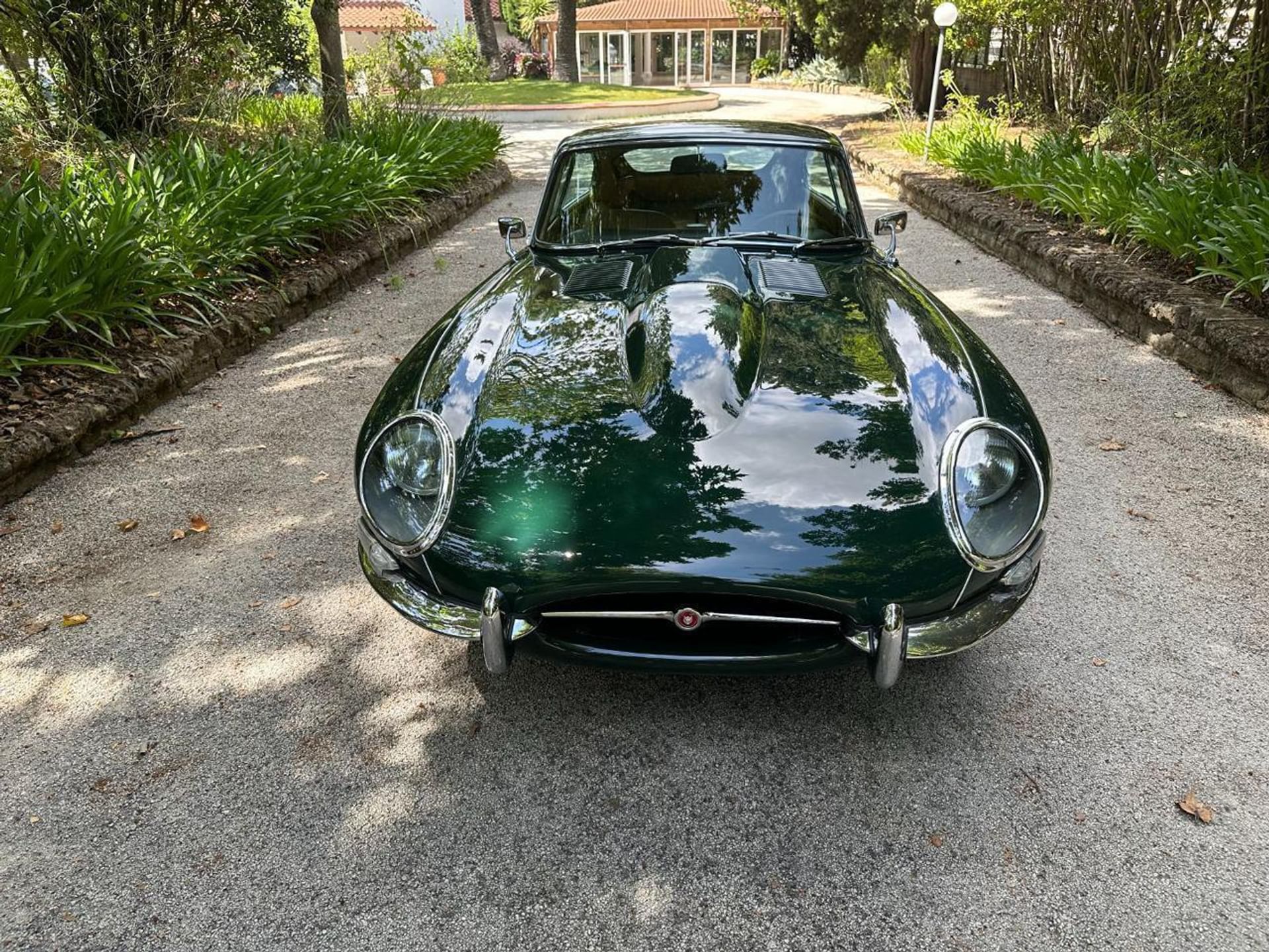 Jaguar E-Type