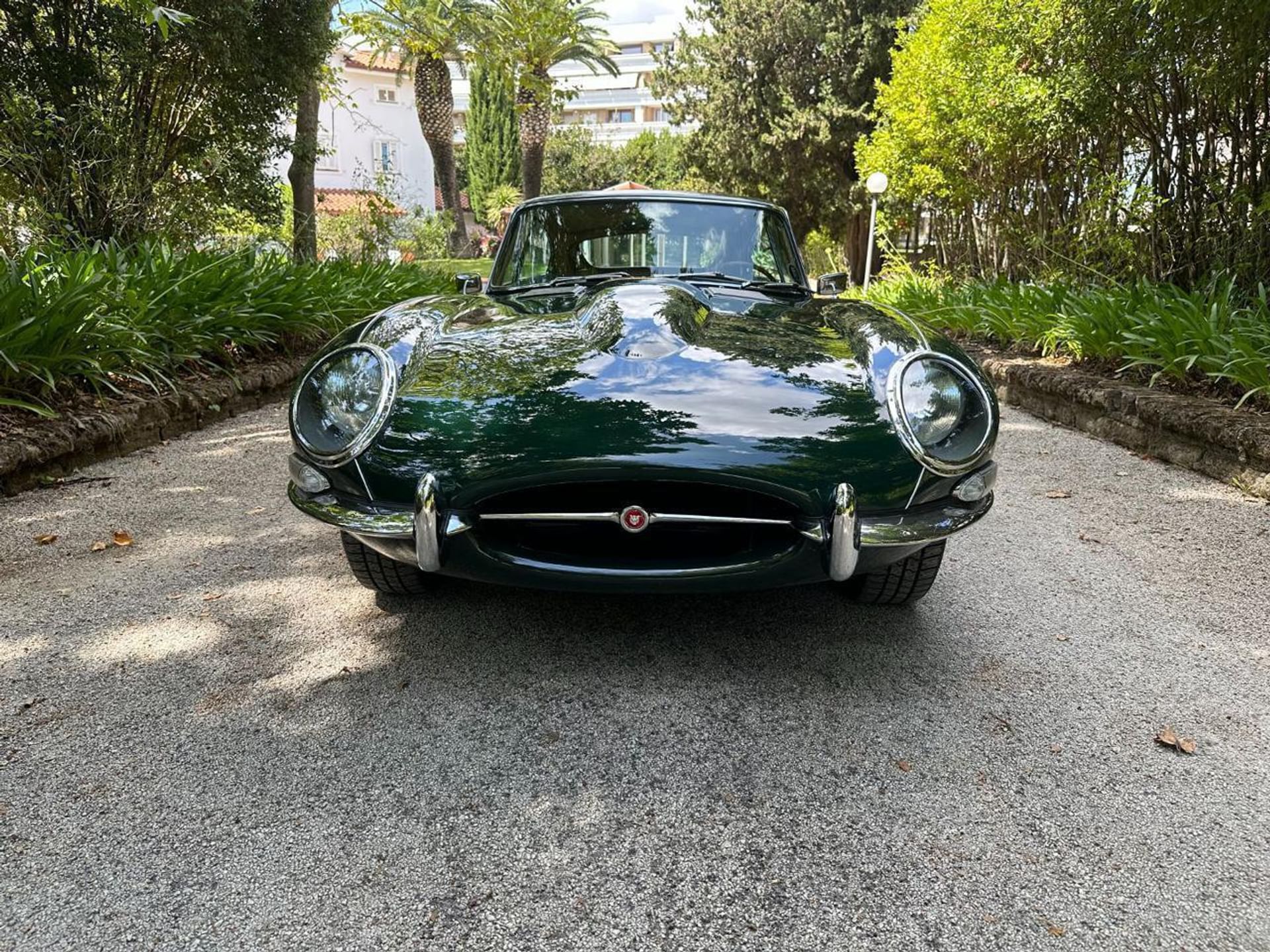 Jaguar E-Type