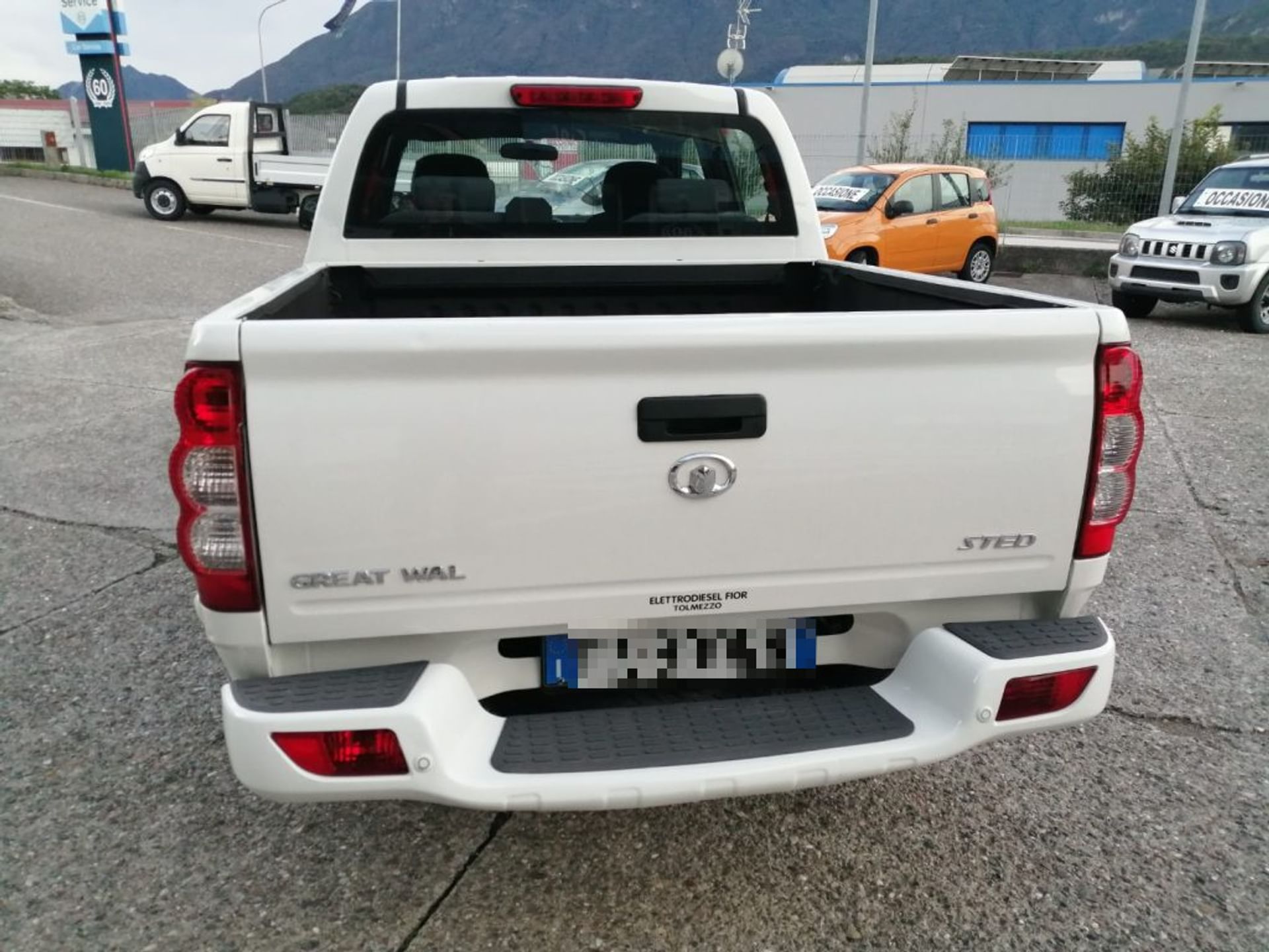 Great Wall Steed