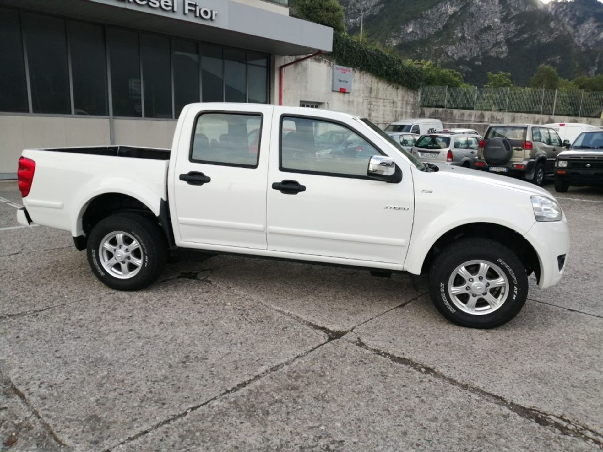 Great Wall Steed