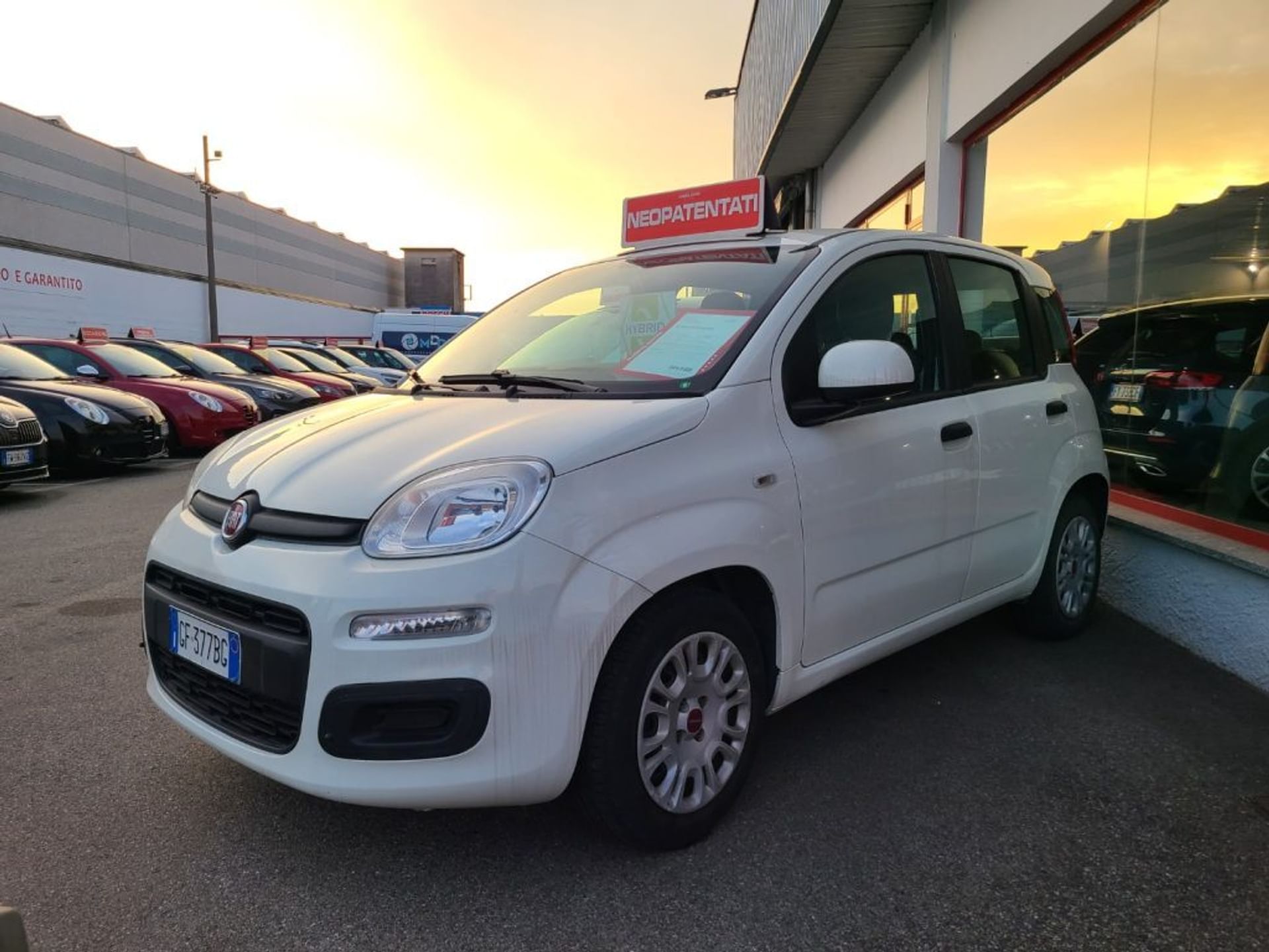 Fiat Panda