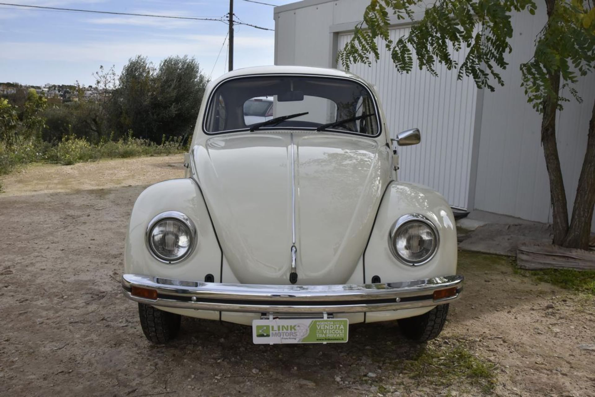 Volkswagen Maggiolino