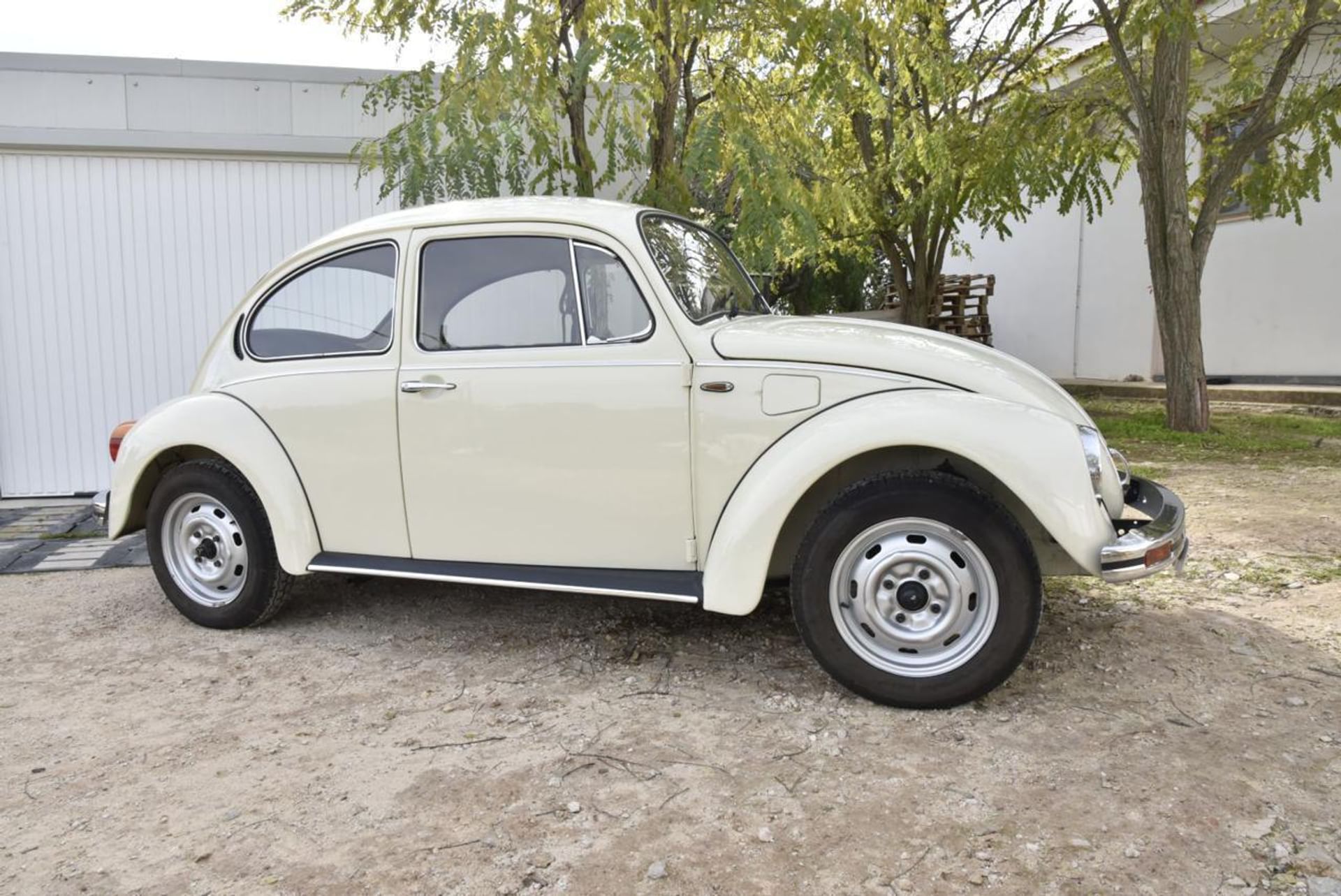 Volkswagen Maggiolino