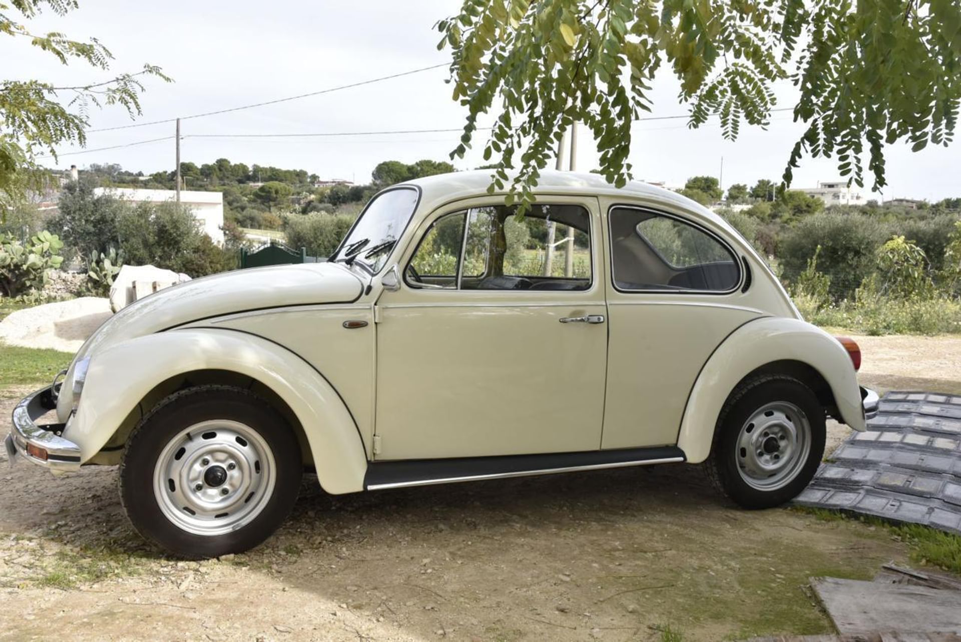 Volkswagen Maggiolino