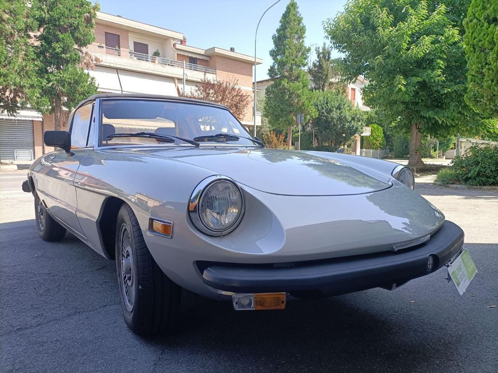 Alfa Romeo Spider