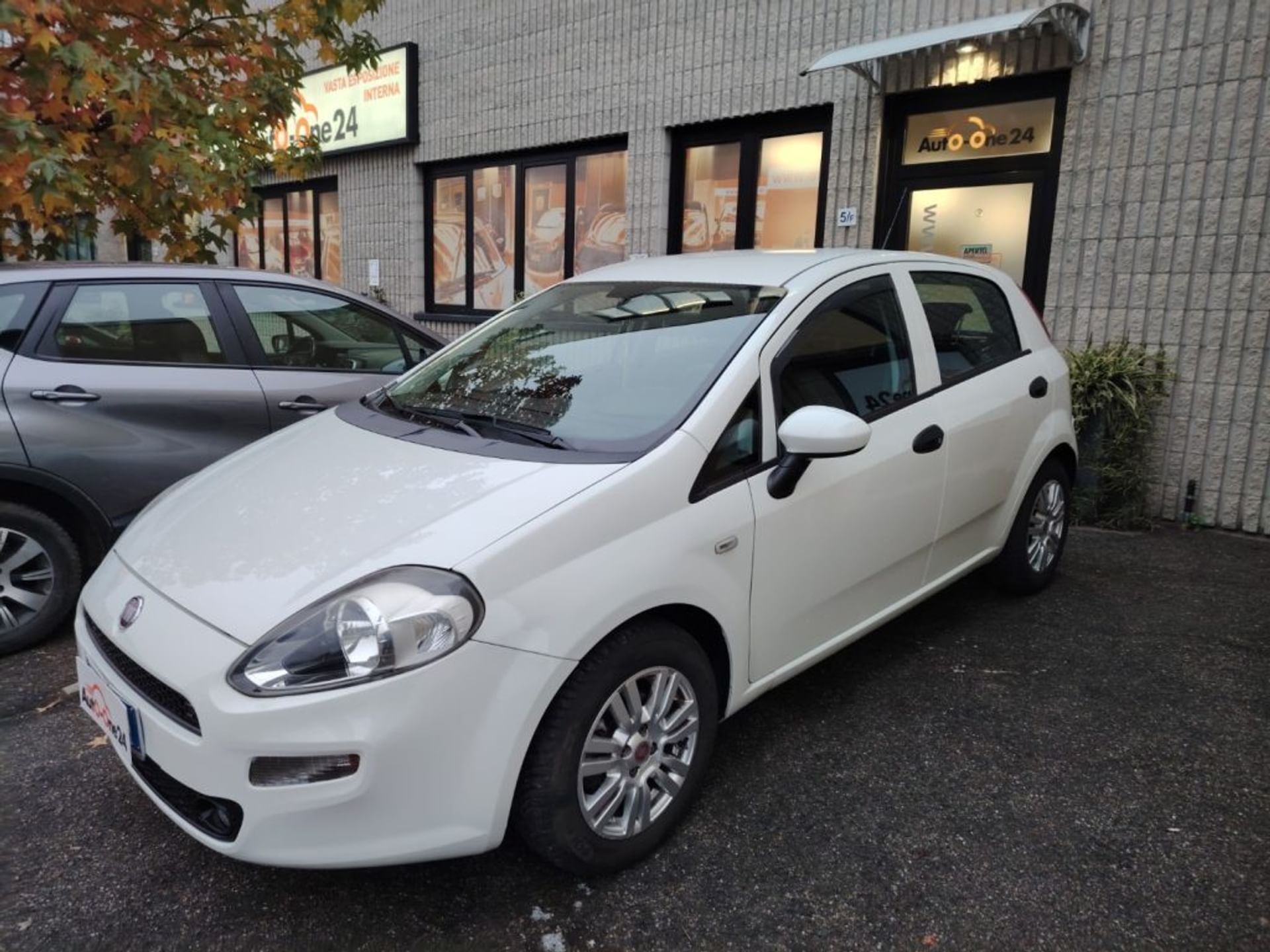 Fiat Punto