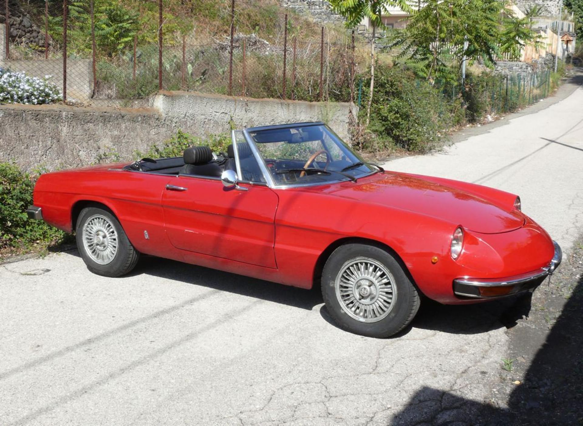 Alfa Romeo Spider