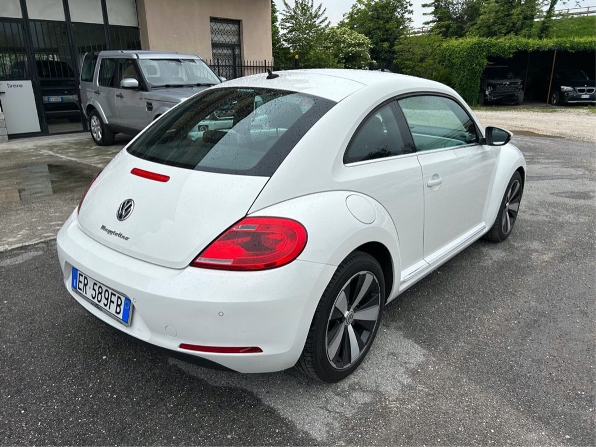 Volkswagen Maggiolino