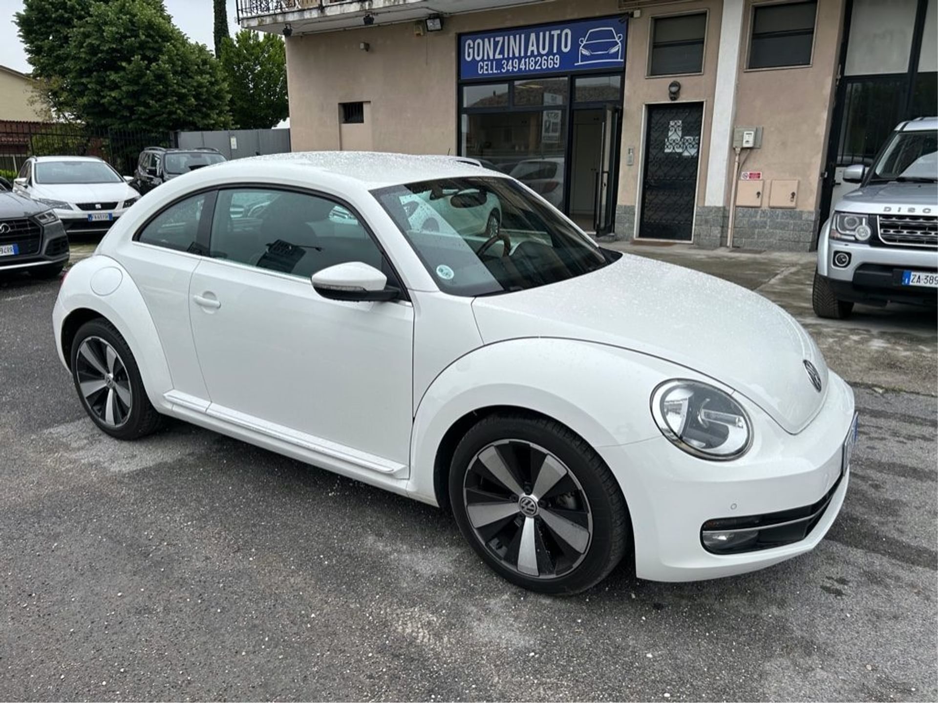 Volkswagen Maggiolino
