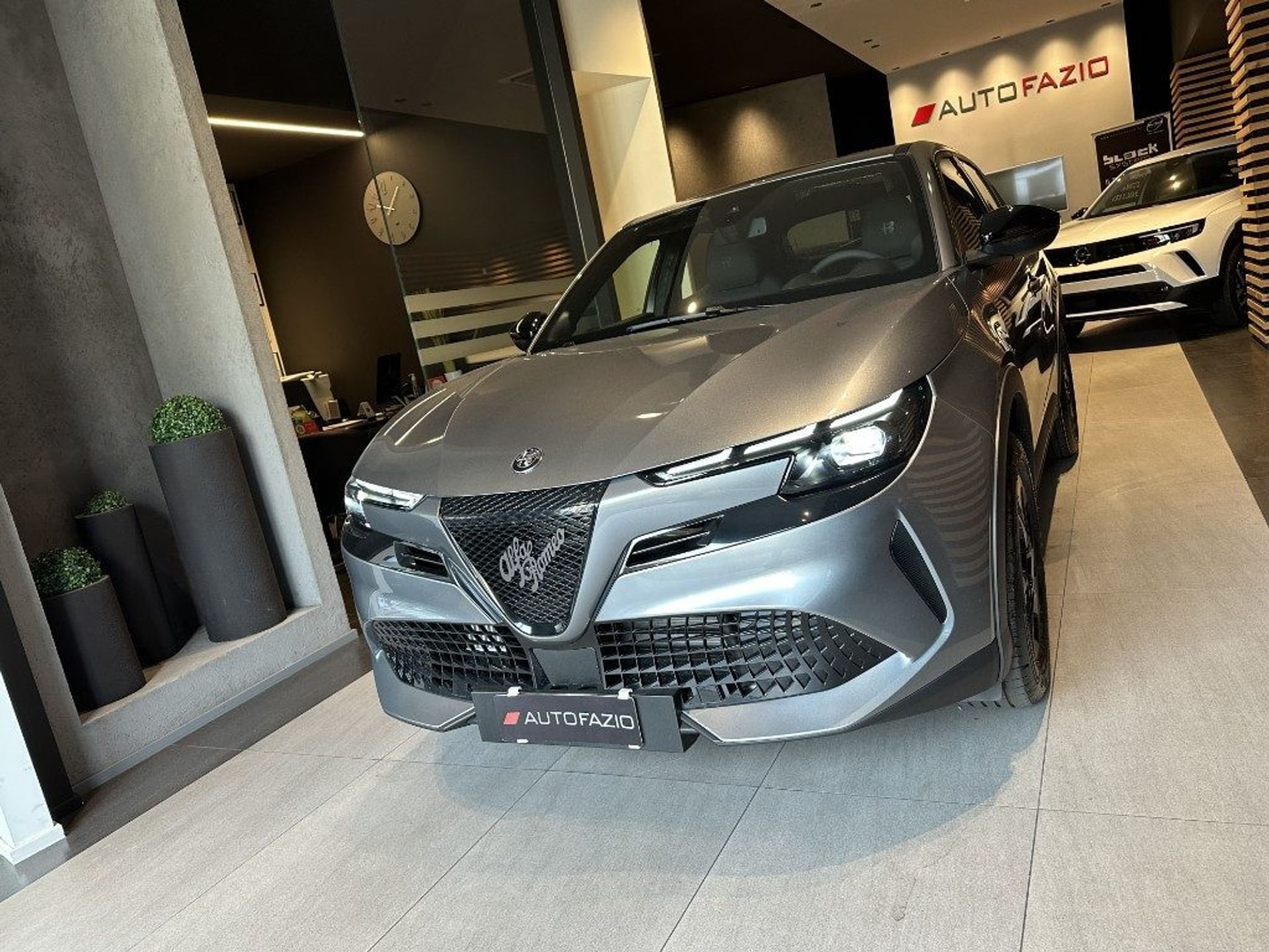 Alfa Romeo Junior