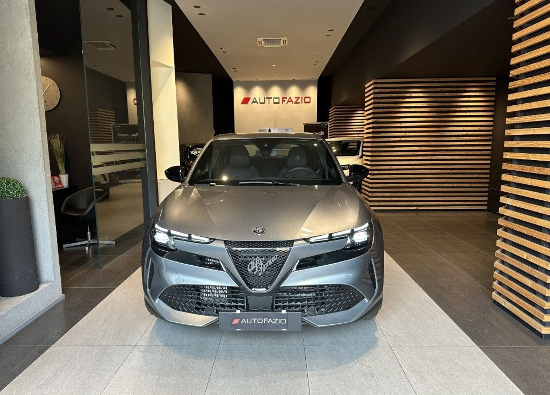 Alfa Romeo Junior