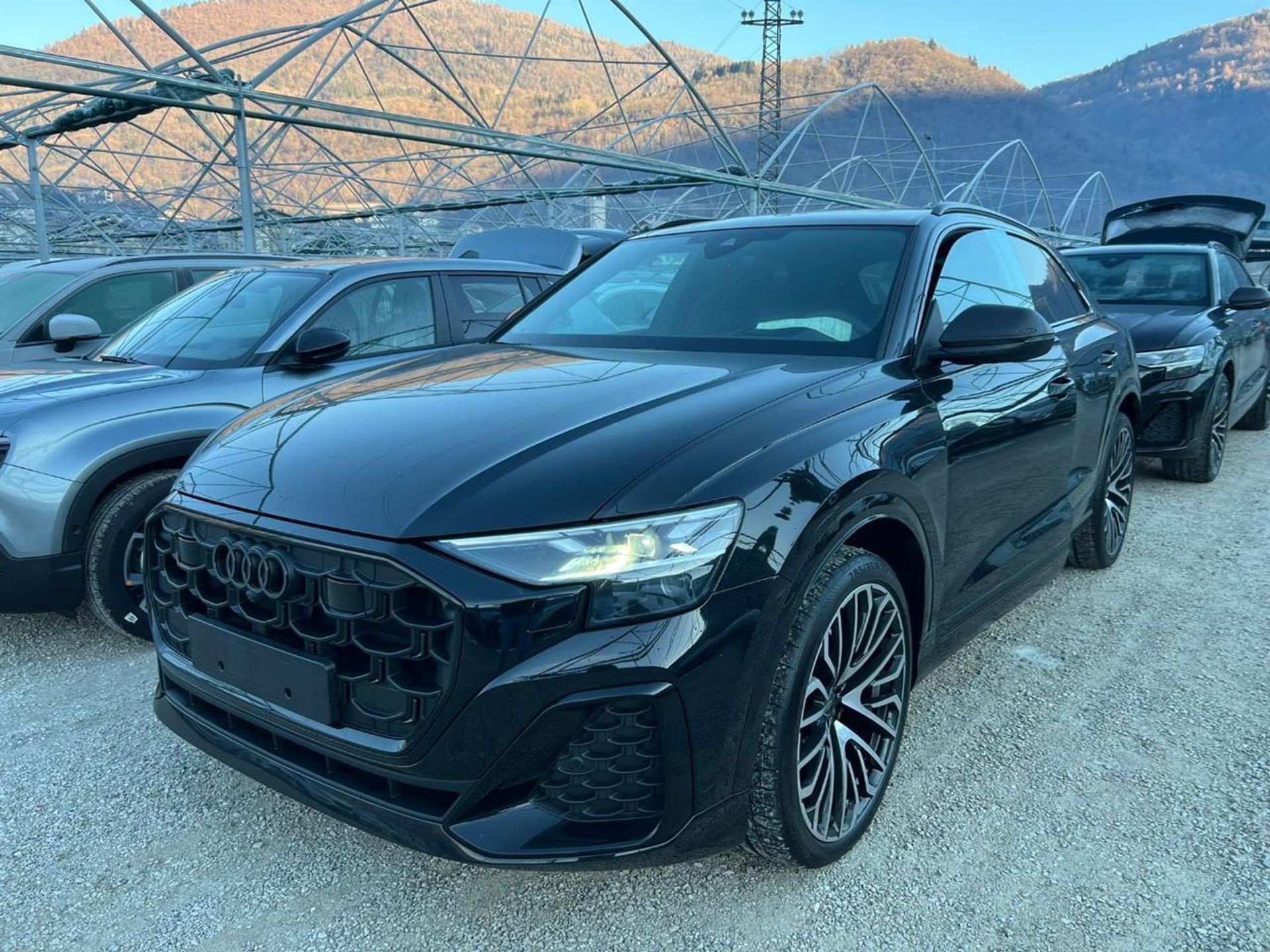 Q8 Roma Audi Q8 SUV 50 TDI 286 CV quattro tiptronic S line edition Nuova Ibrida ...