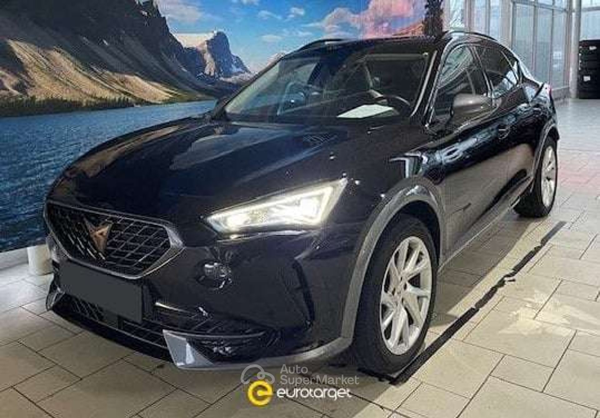 Sonn Der Cupra Formentor 1 4 E Hybrid 180kw Vz Dsg Das Ultimative Fahrerlebnis