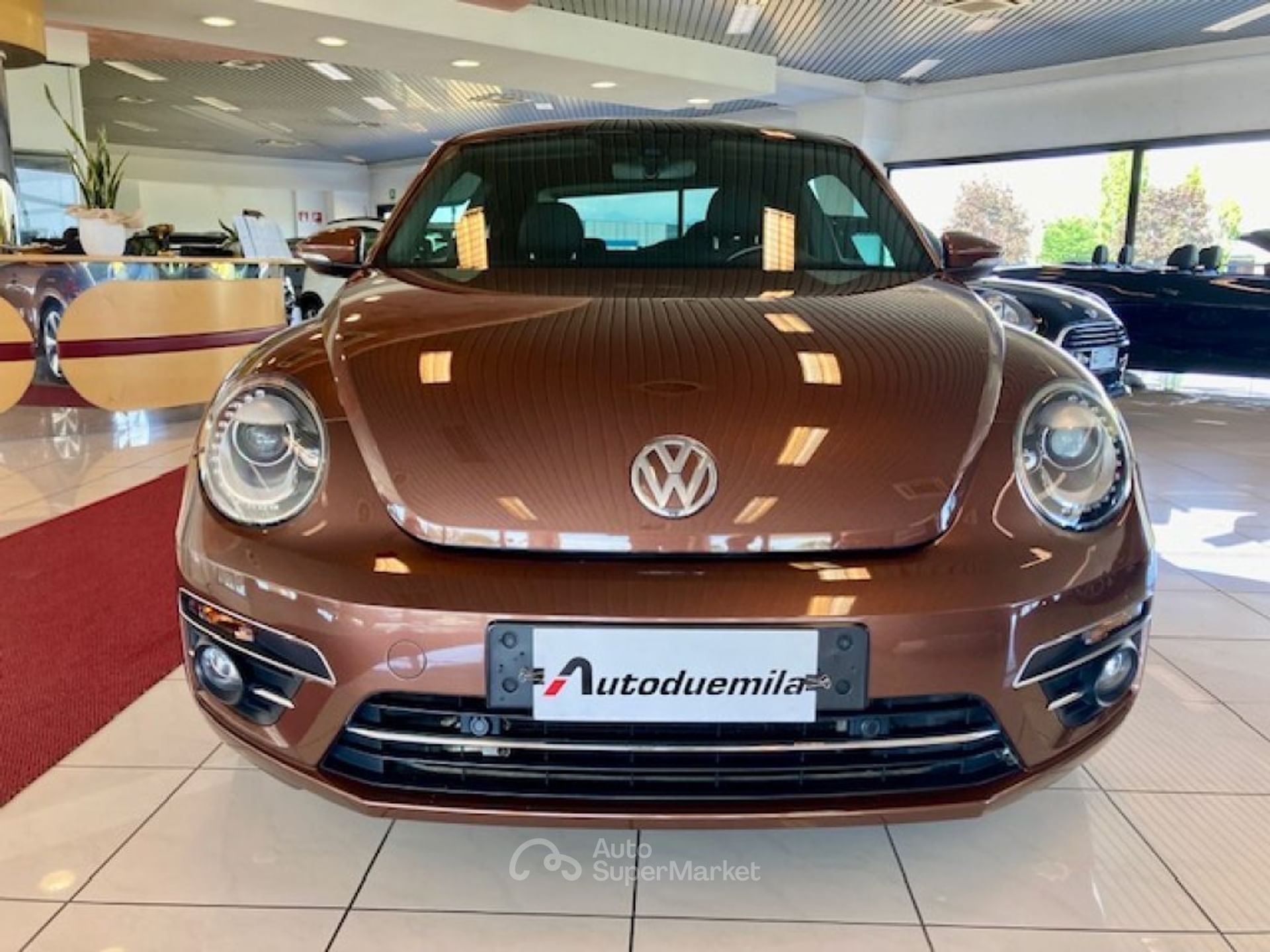 Volkswagen Maggiolino