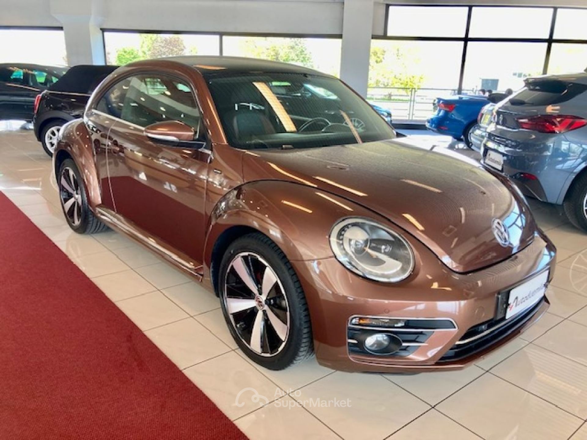 Volkswagen Maggiolino