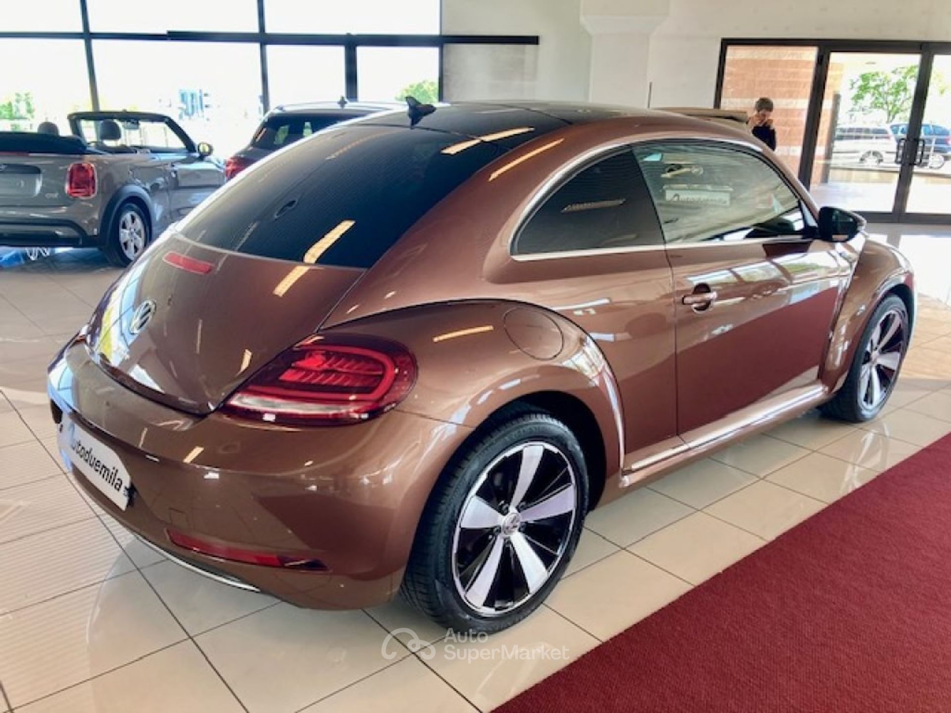 Volkswagen Maggiolino