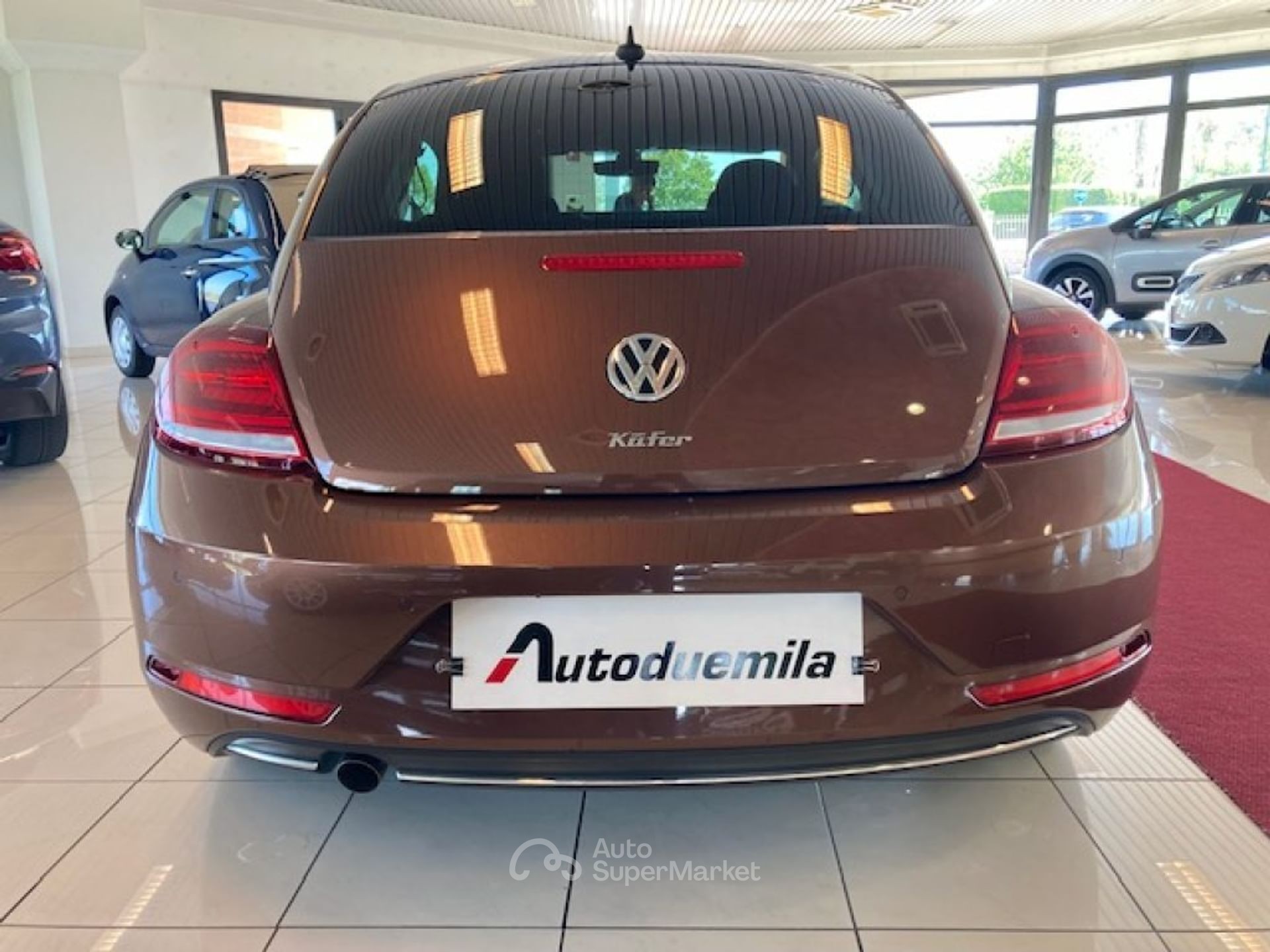 Volkswagen Maggiolino