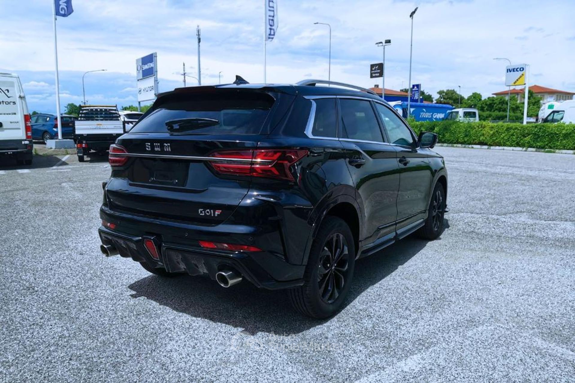 SWM G01F