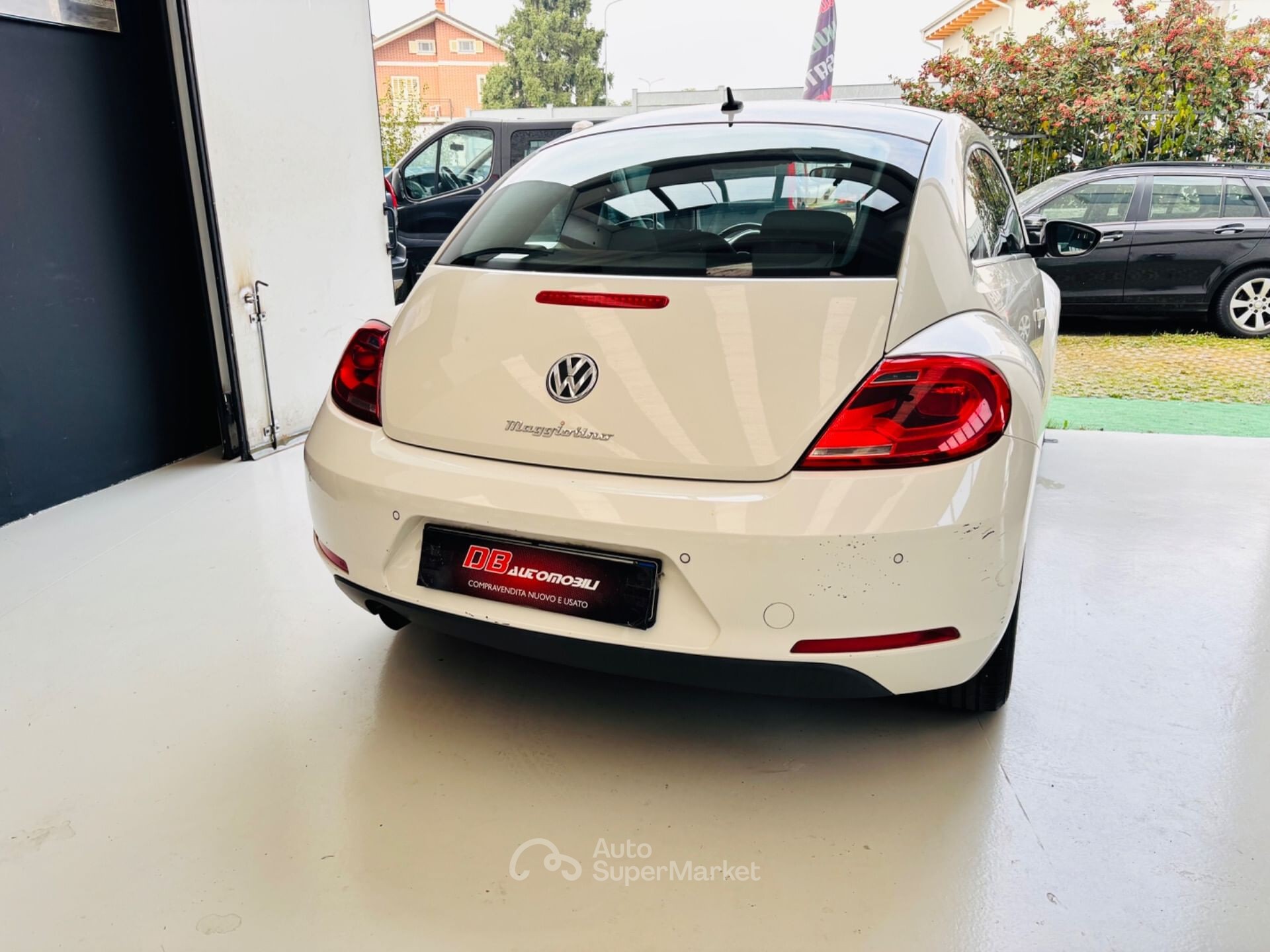 Volkswagen Maggiolino