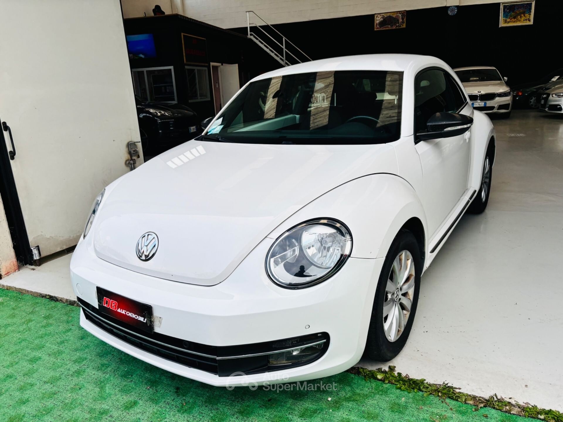 Volkswagen Maggiolino