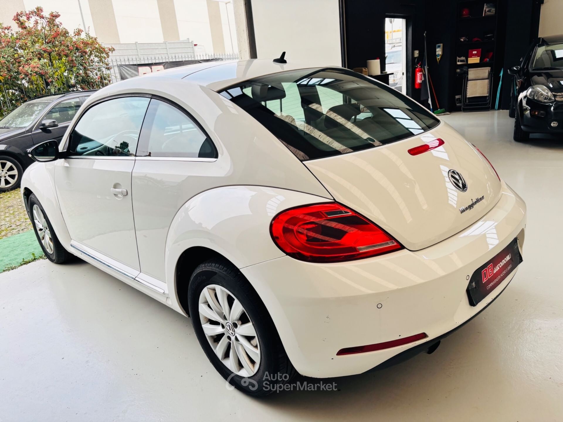 Volkswagen Maggiolino