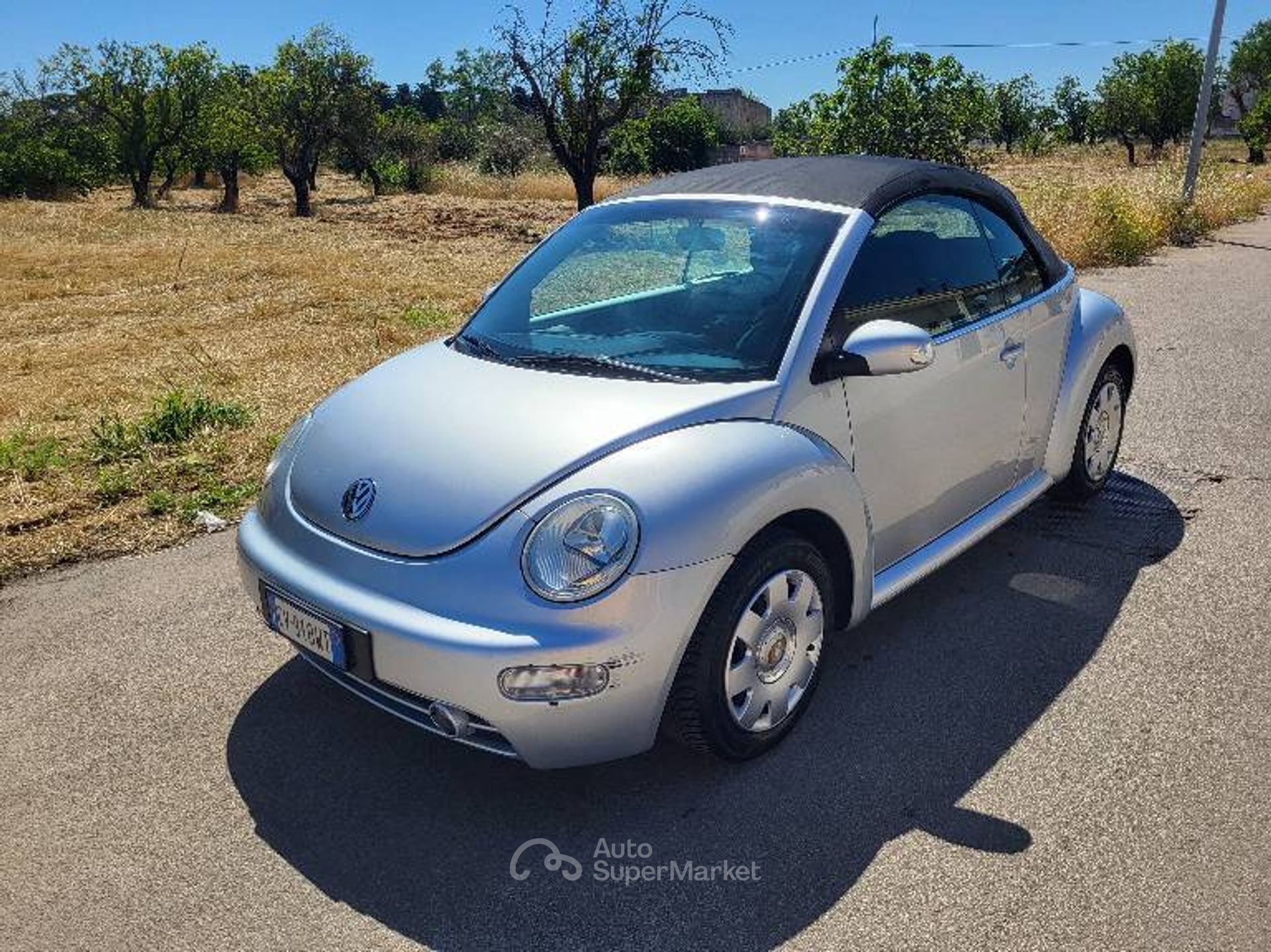 Volkswagen New Beetle